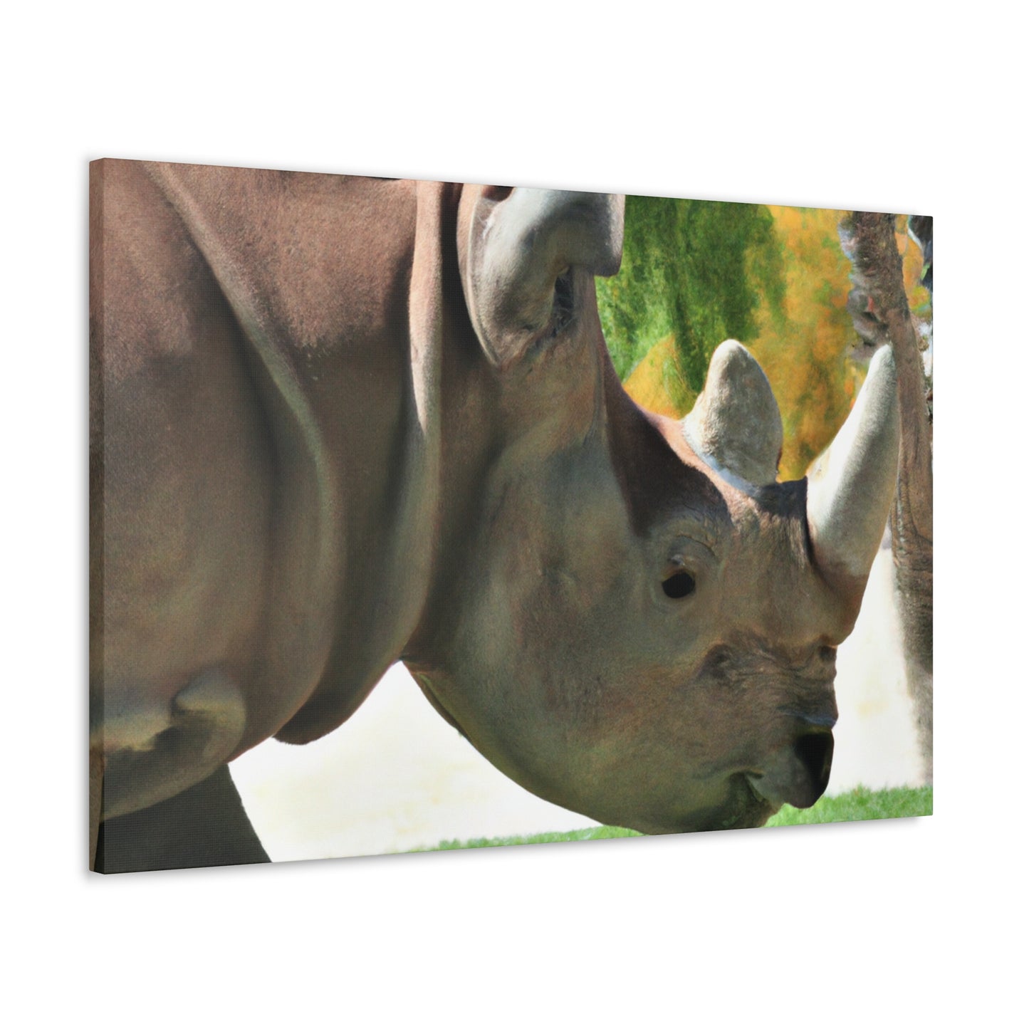 Rhino Head - Canvas - Wildlife