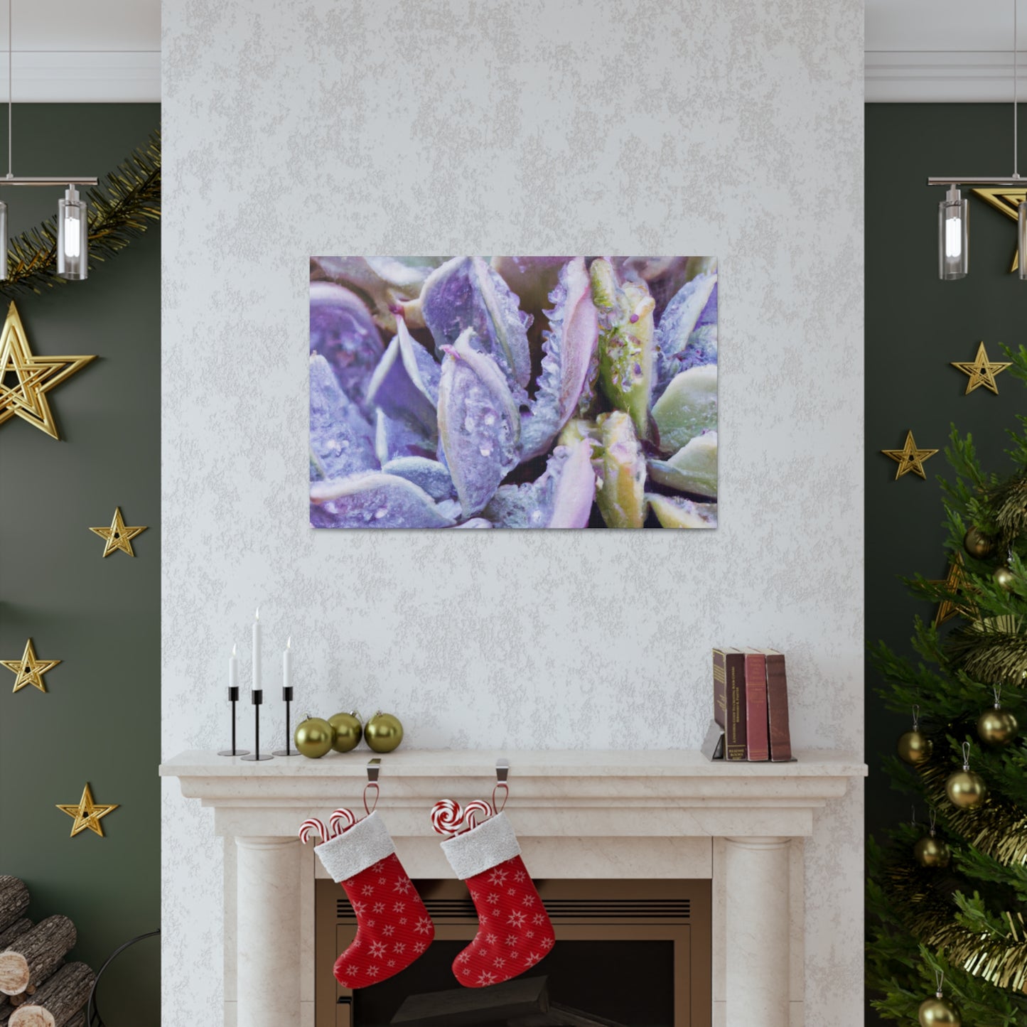 Violet Delights. - Canvas - Succulent