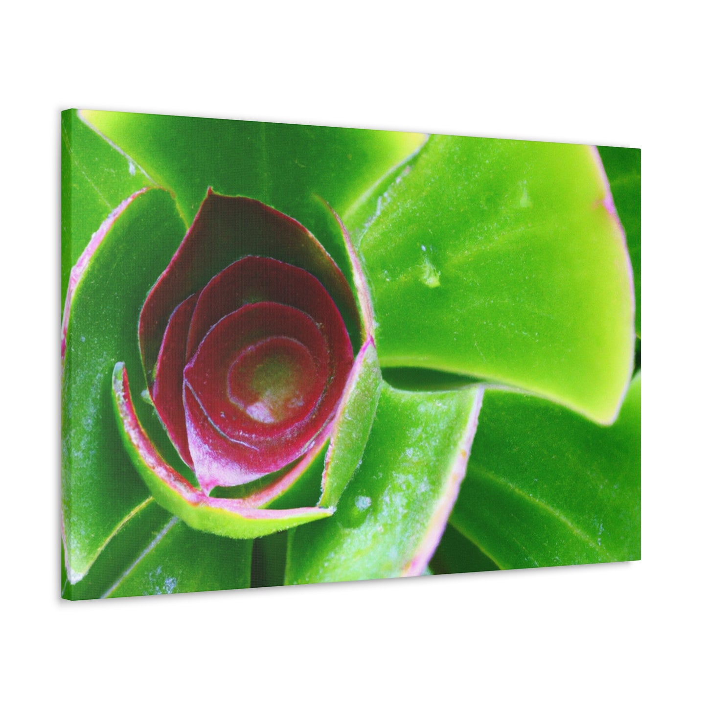 Pandora of the Underworld - Canvas - Succulent