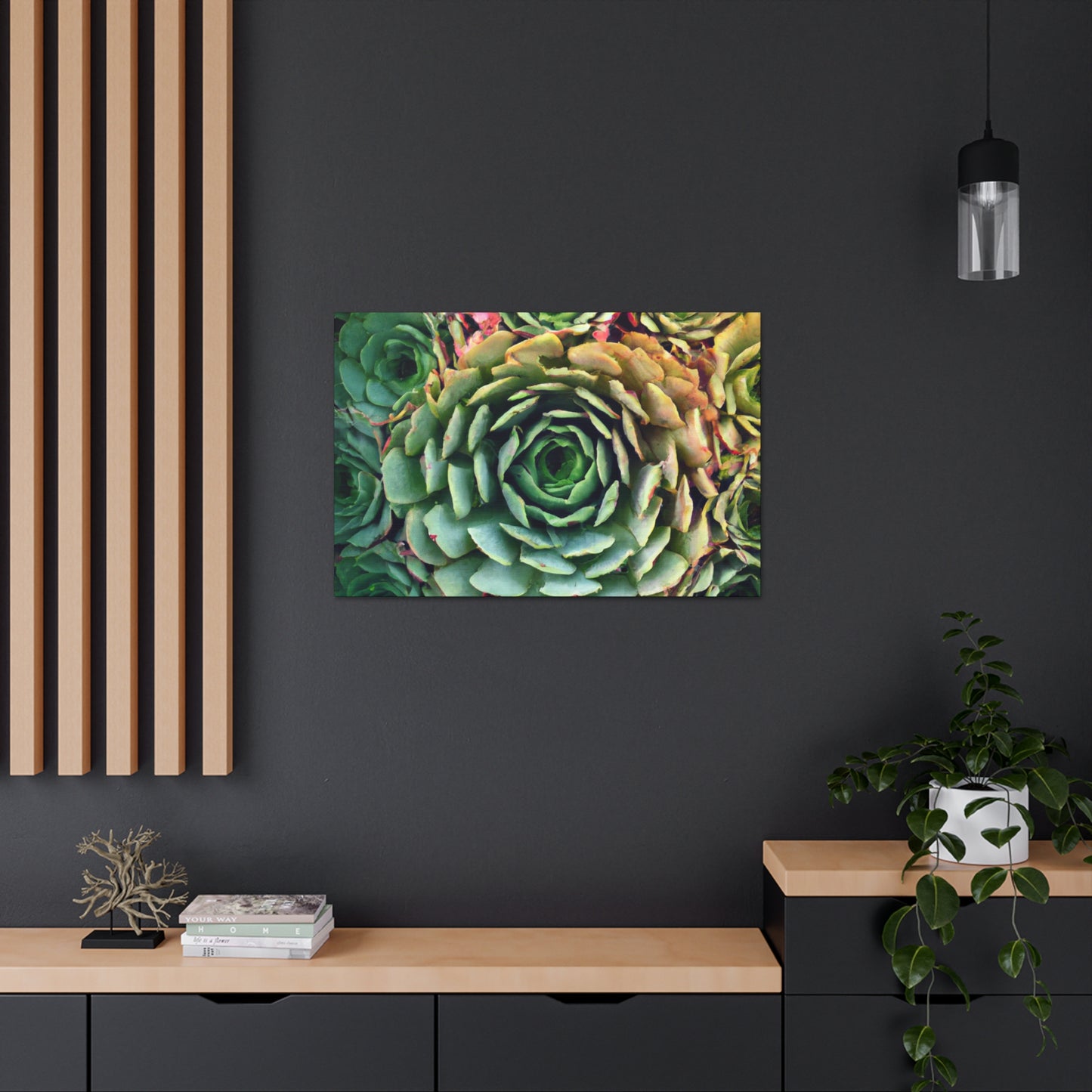 Aphrodite's Flight. - Canvas - Succulent