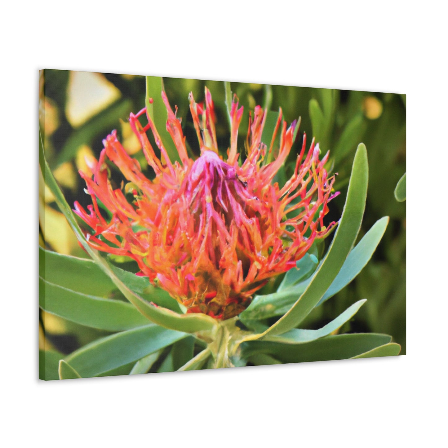 Floral Scroll Garden Print - Canvas - Floral