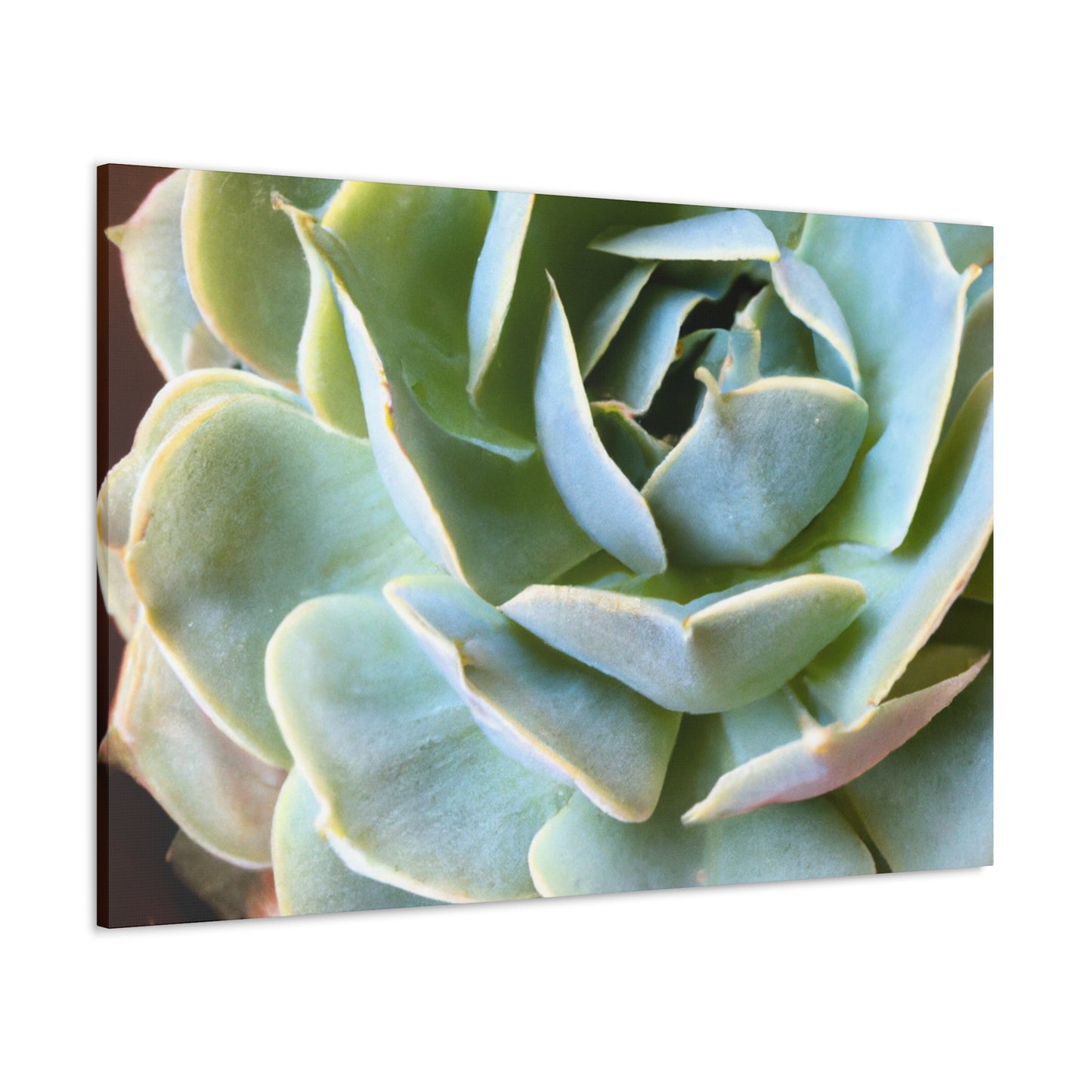 "Blooming Garden" - Canvas - Succulent