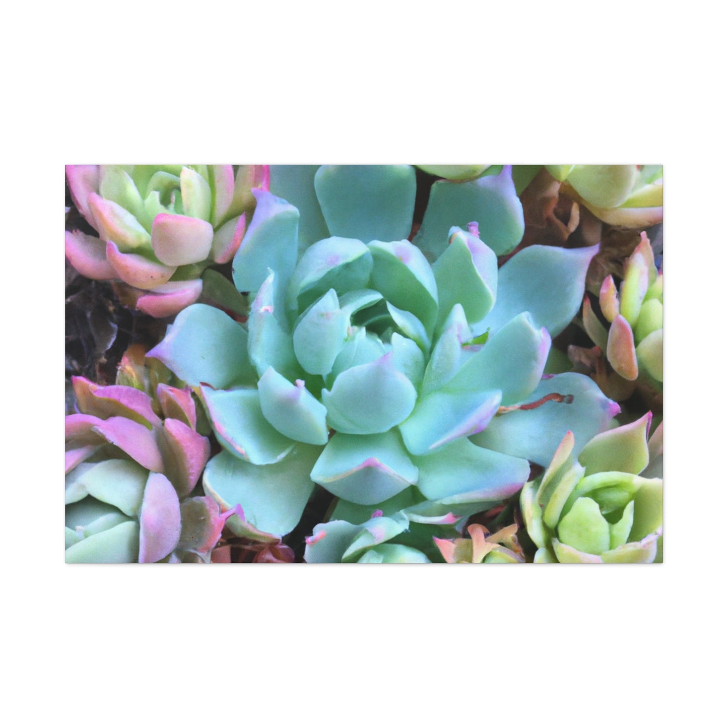 "Garden of Abundance" - Canvas - Succulent