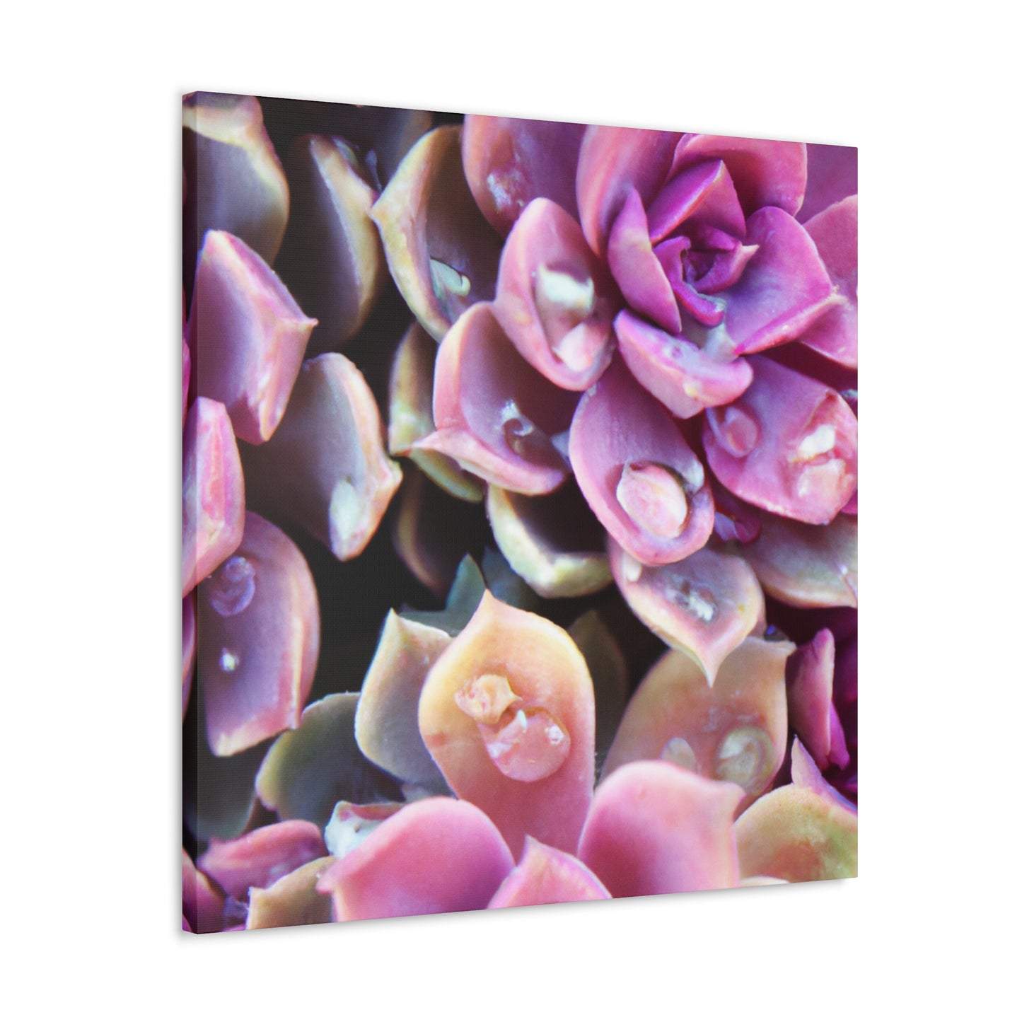 Garden of Splendor. - Canvas - Succulent