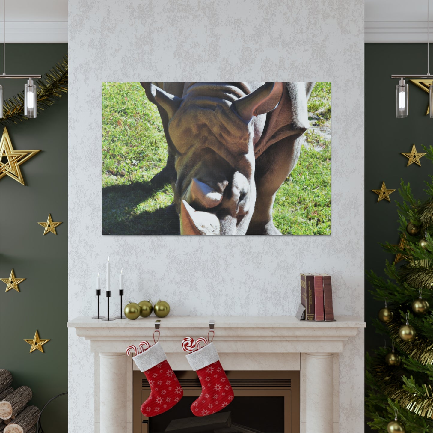 Climbing Zorton! - Canvas - Wildlife
