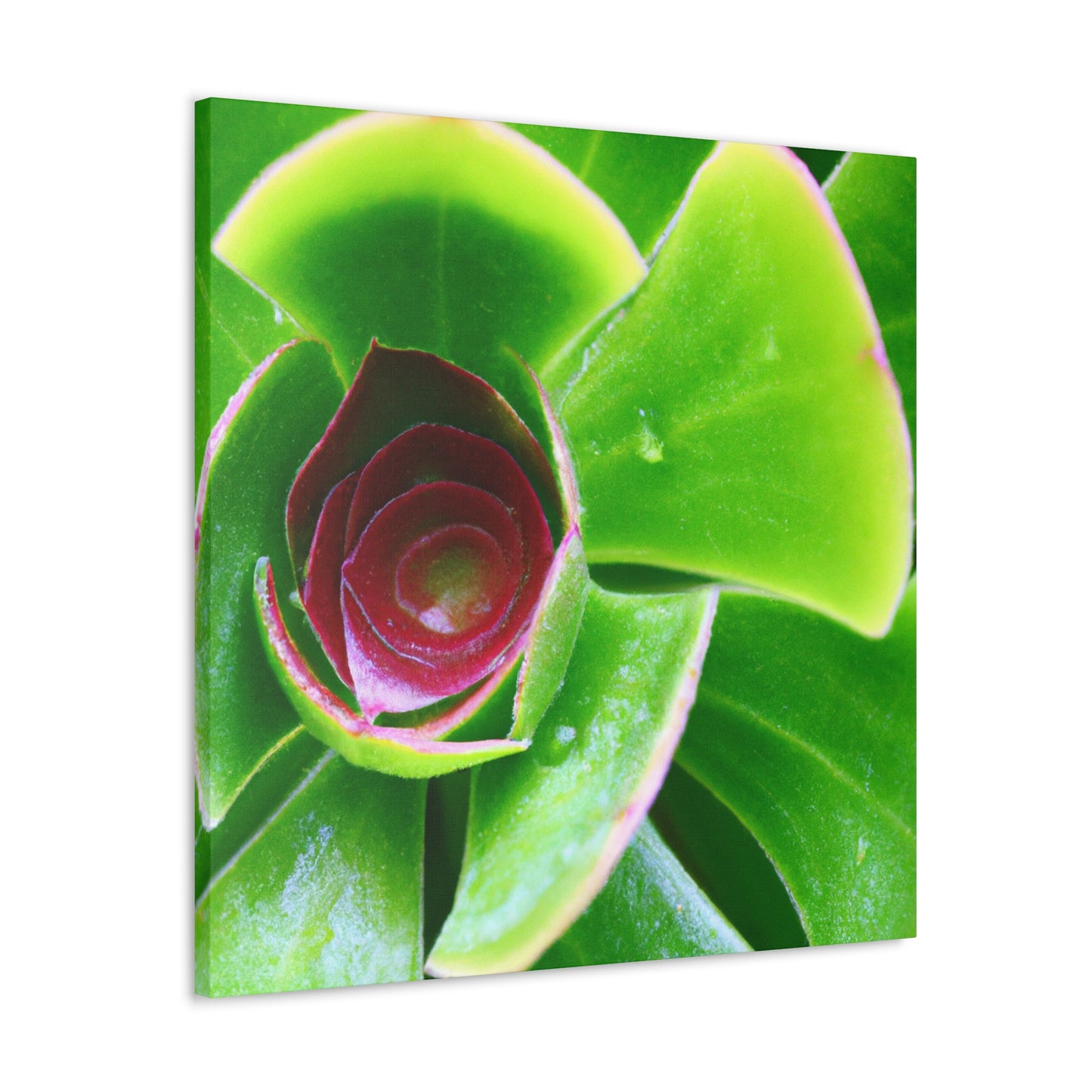 Pandora of the Underworld - Canvas - Succulent