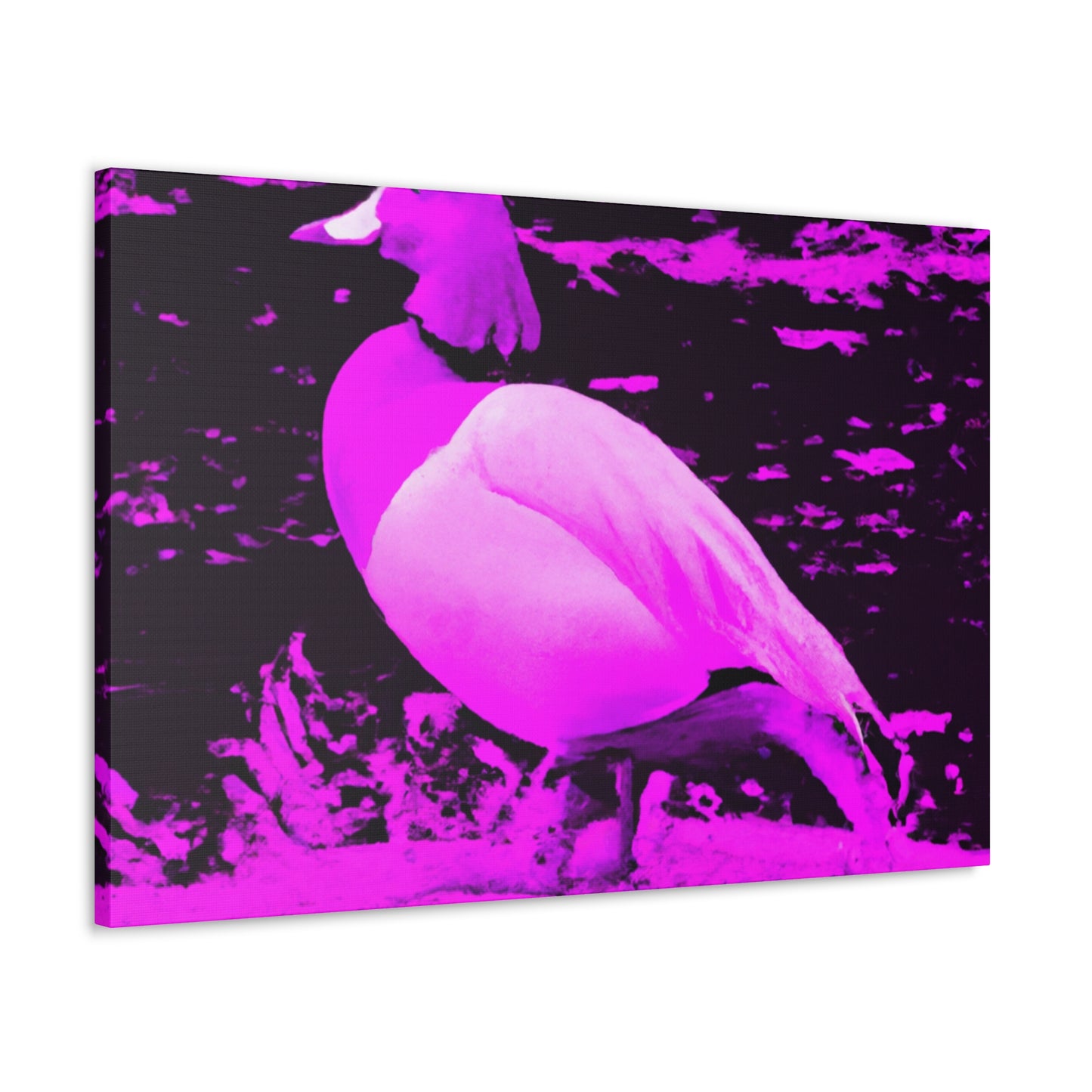 Shimmerfur - Wildlife Canvas