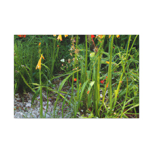 Blooming Floral Garden - Floral Canvas
