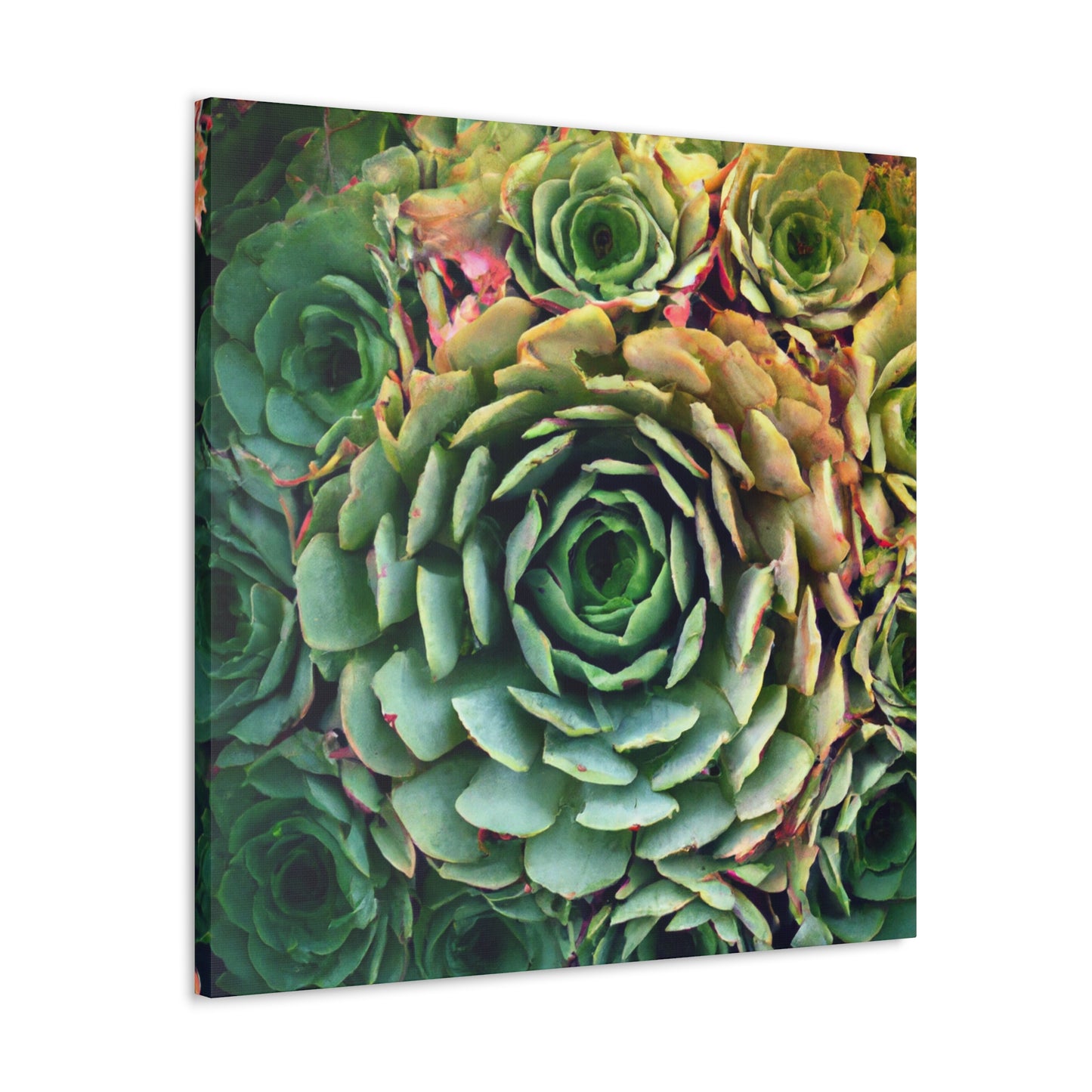 Aphrodite's Flight. - Canvas - Succulent