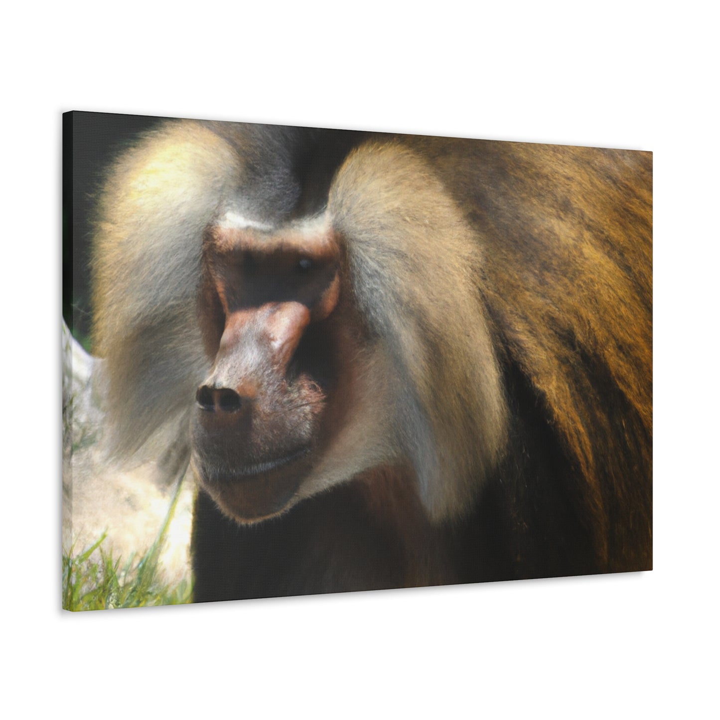 Boony Coleoptera - Canvas - Wildlife
