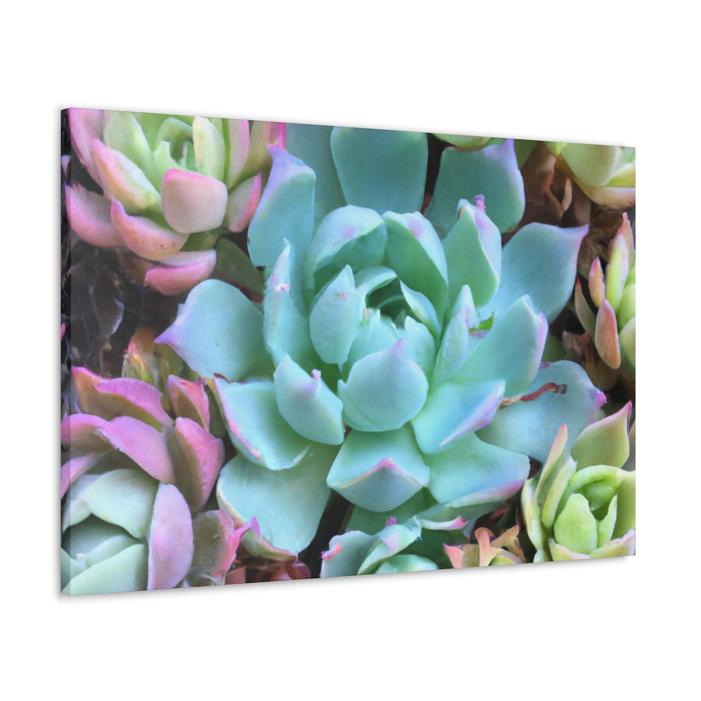 "Garden of Abundance" - Canvas - Succulent