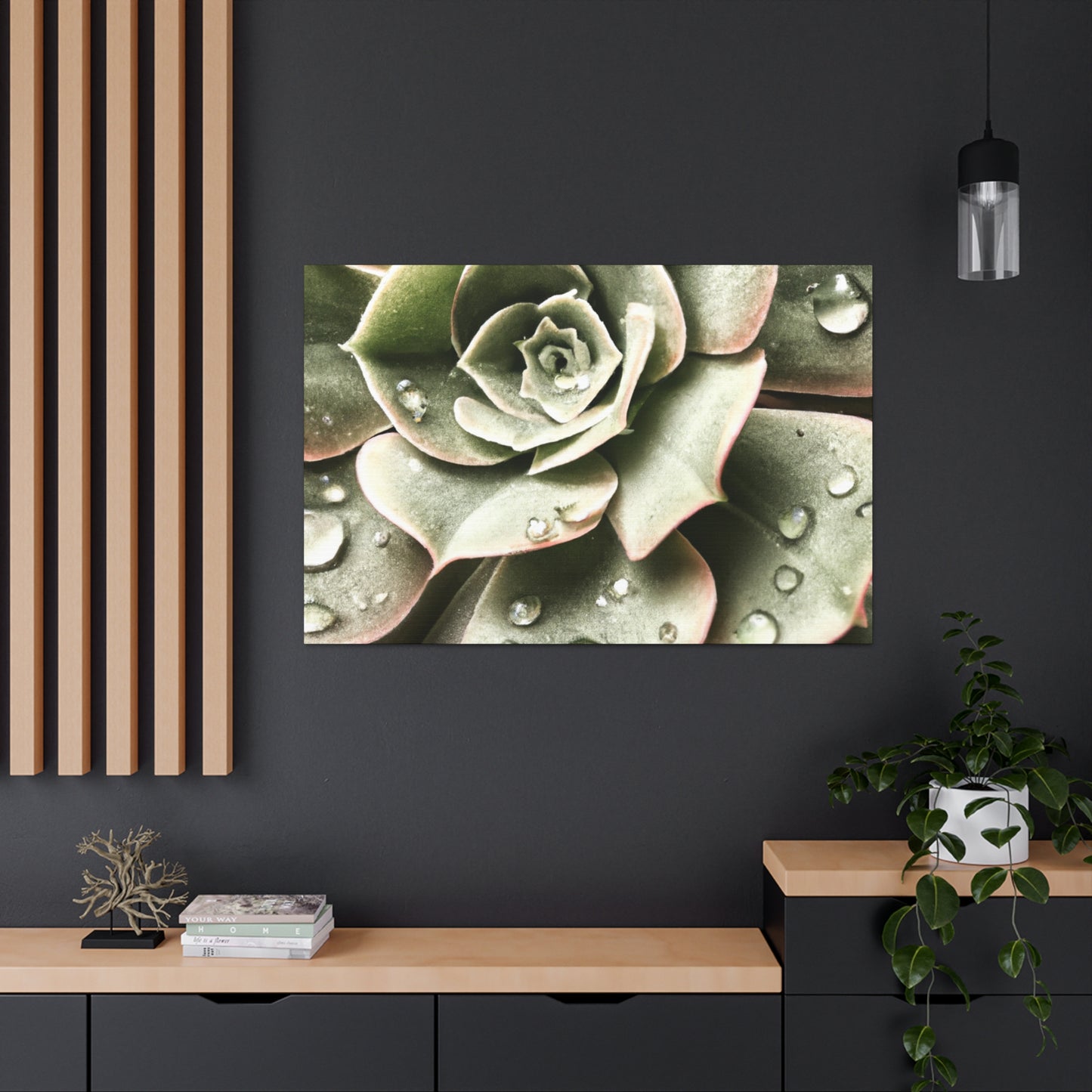 Neutral Close Up - Canvas - Succulent