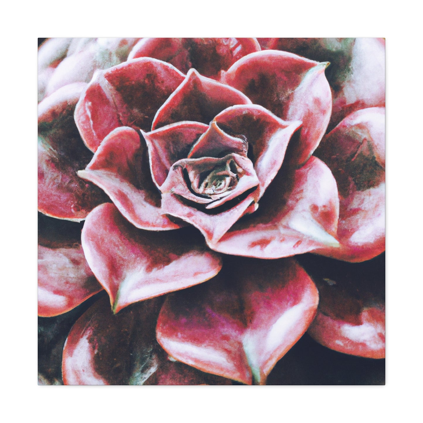 Odysseus. - Canvas - Succulent