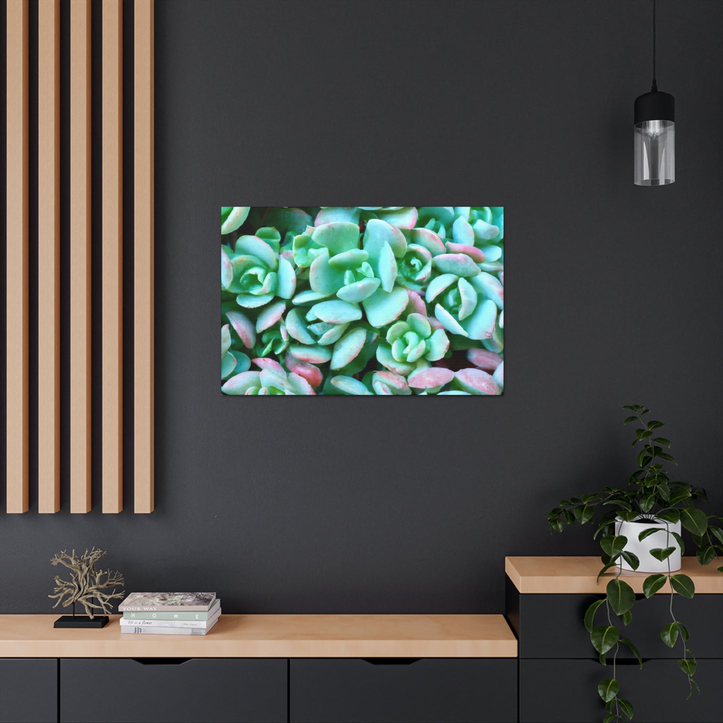 Green Beauties - Canvas - Succulent