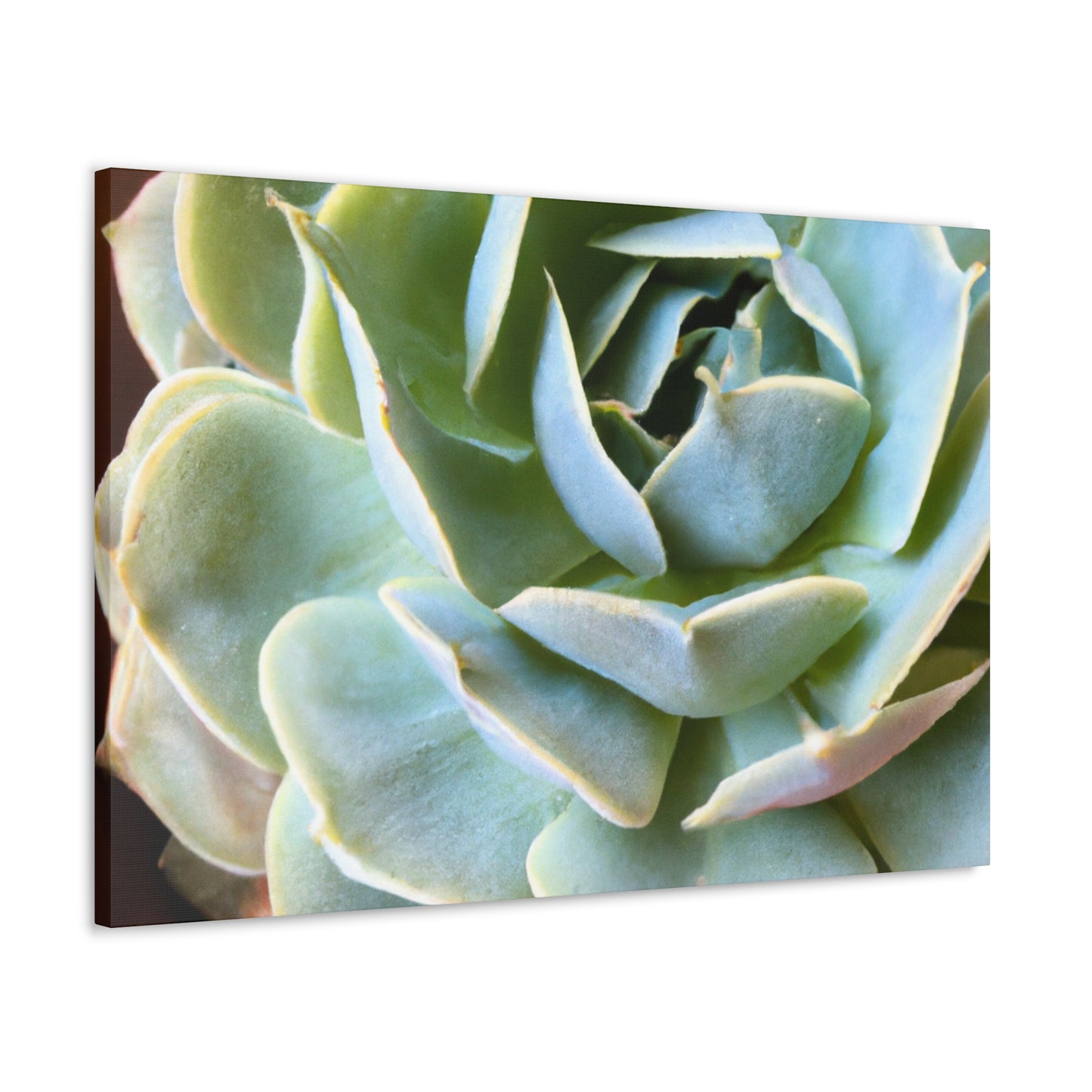 "Blooming Garden" - Canvas - Succulent