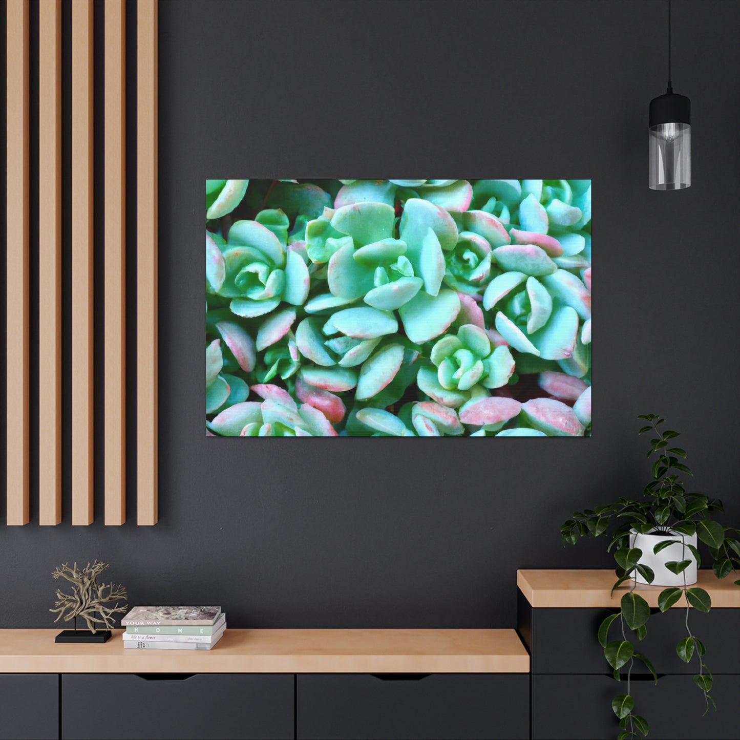 Green Beauties - Canvas - Succulent