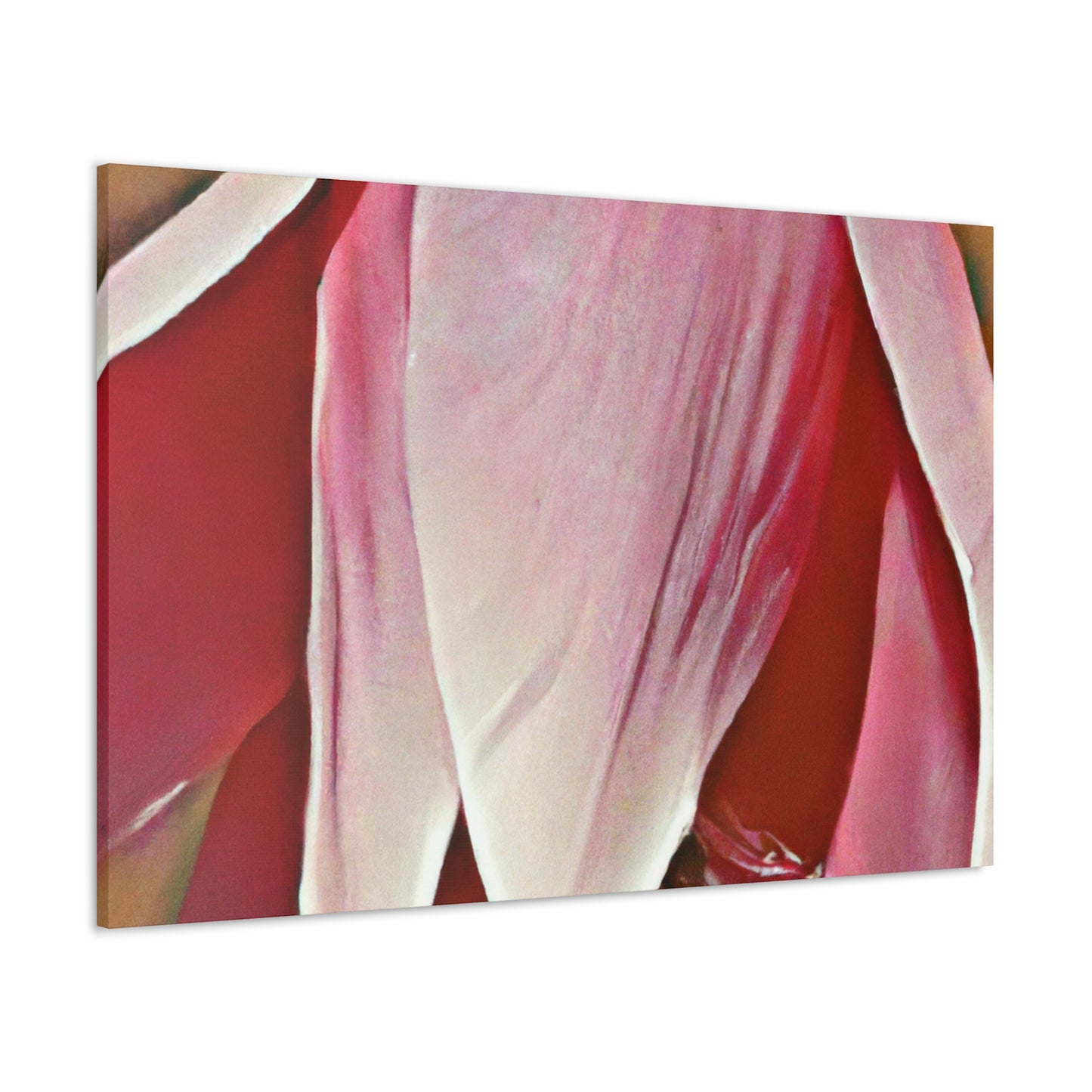 Pink Elder - Canvas - Floral
