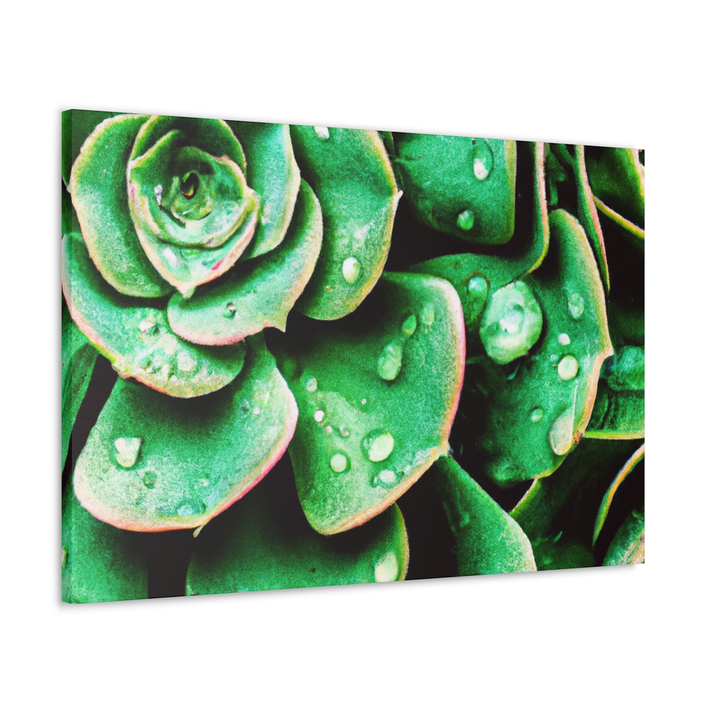 "Garden Splendor" - Canvas - Succulent