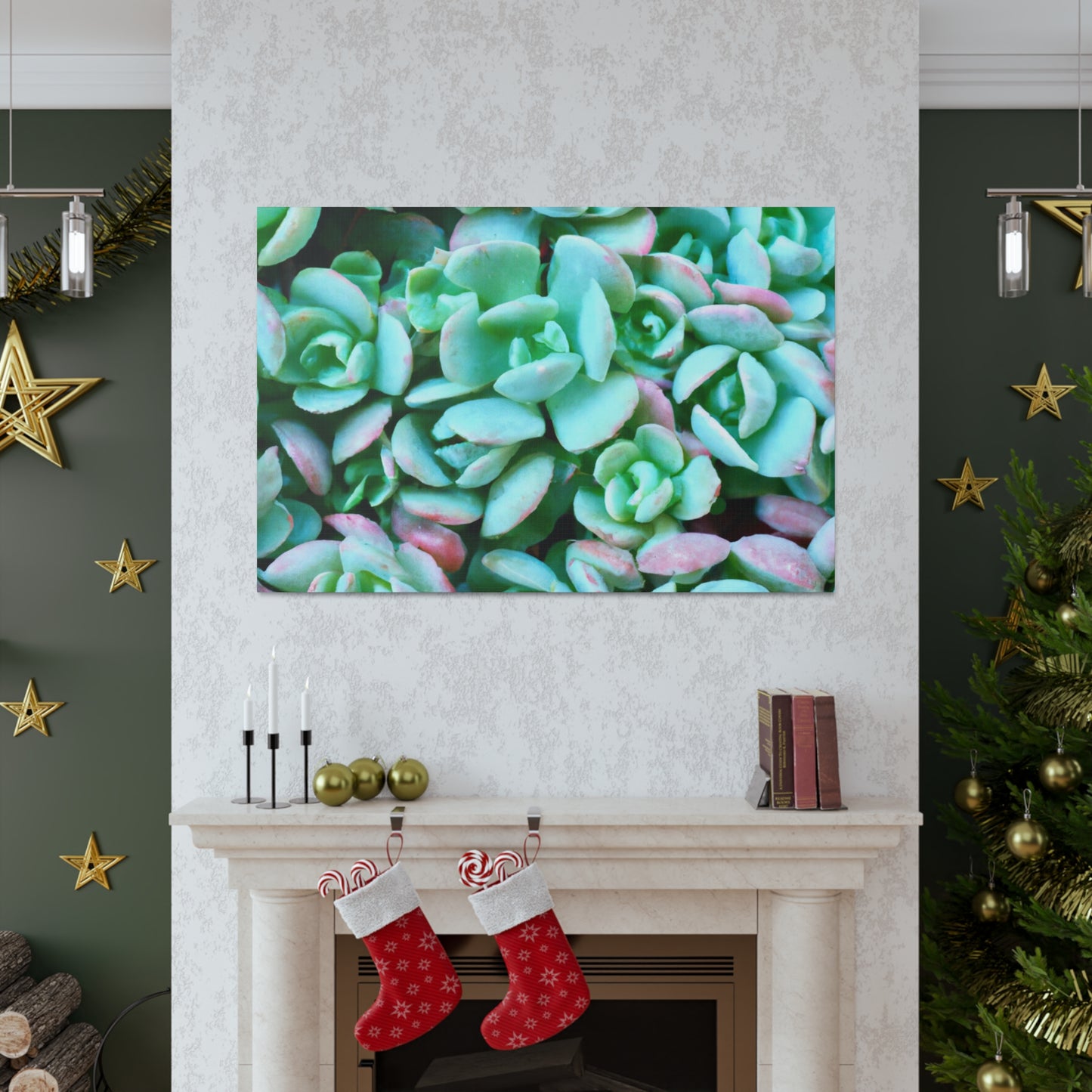Green Beauties - Canvas - Succulent