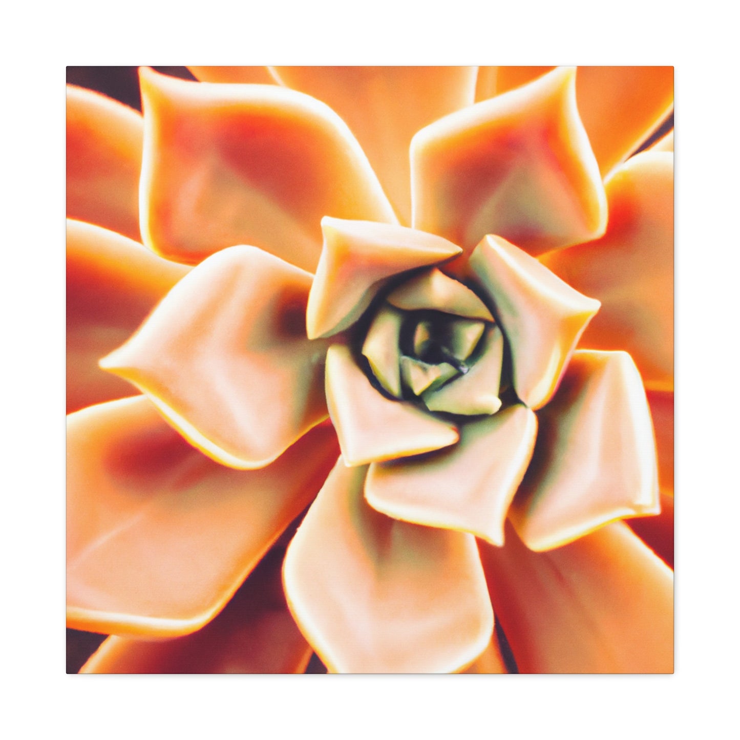 "Melon Symphony" - Canvas - Succulent