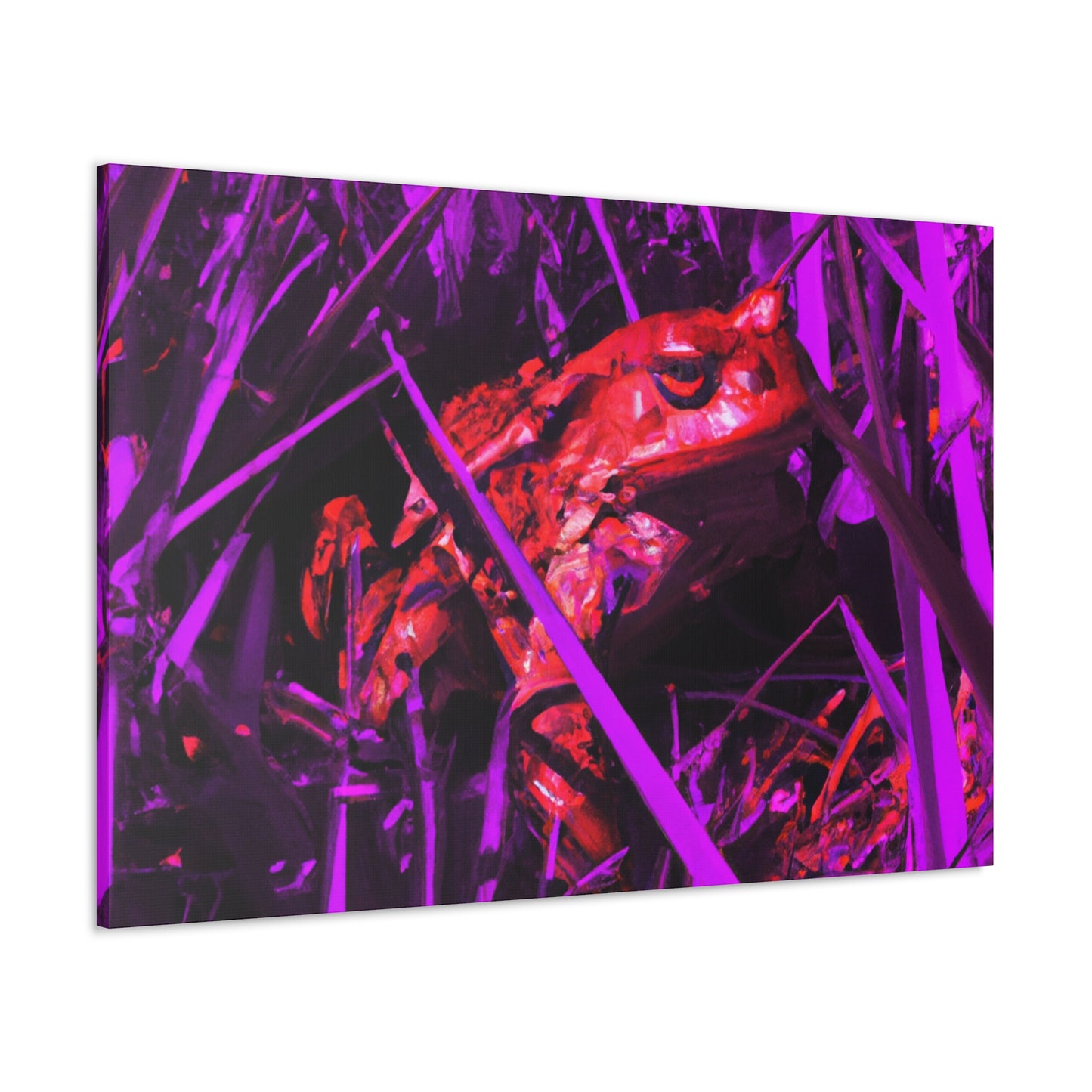 Red Frog - Canvas - Wildlife