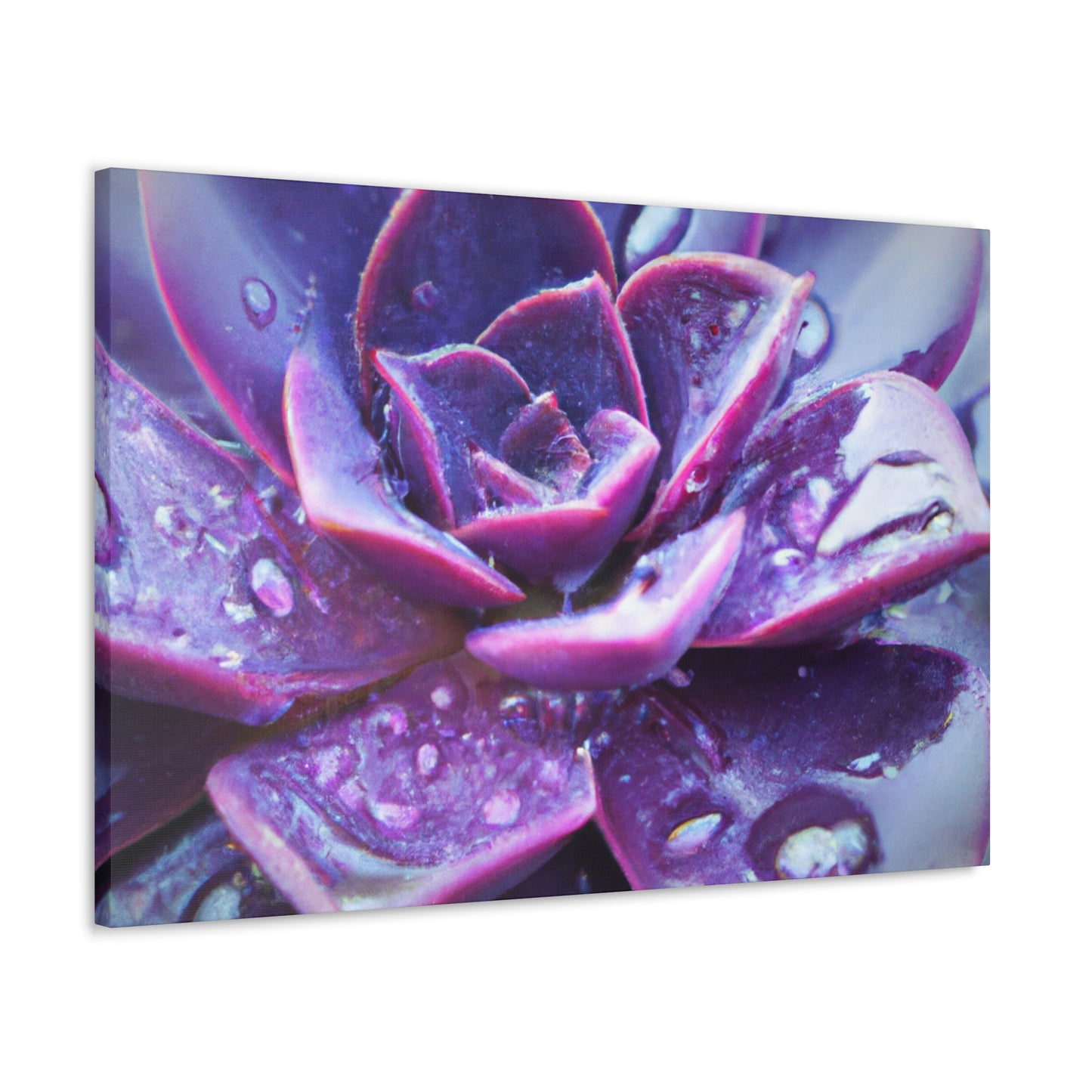 Purple Splendor - Canvas - Succulent