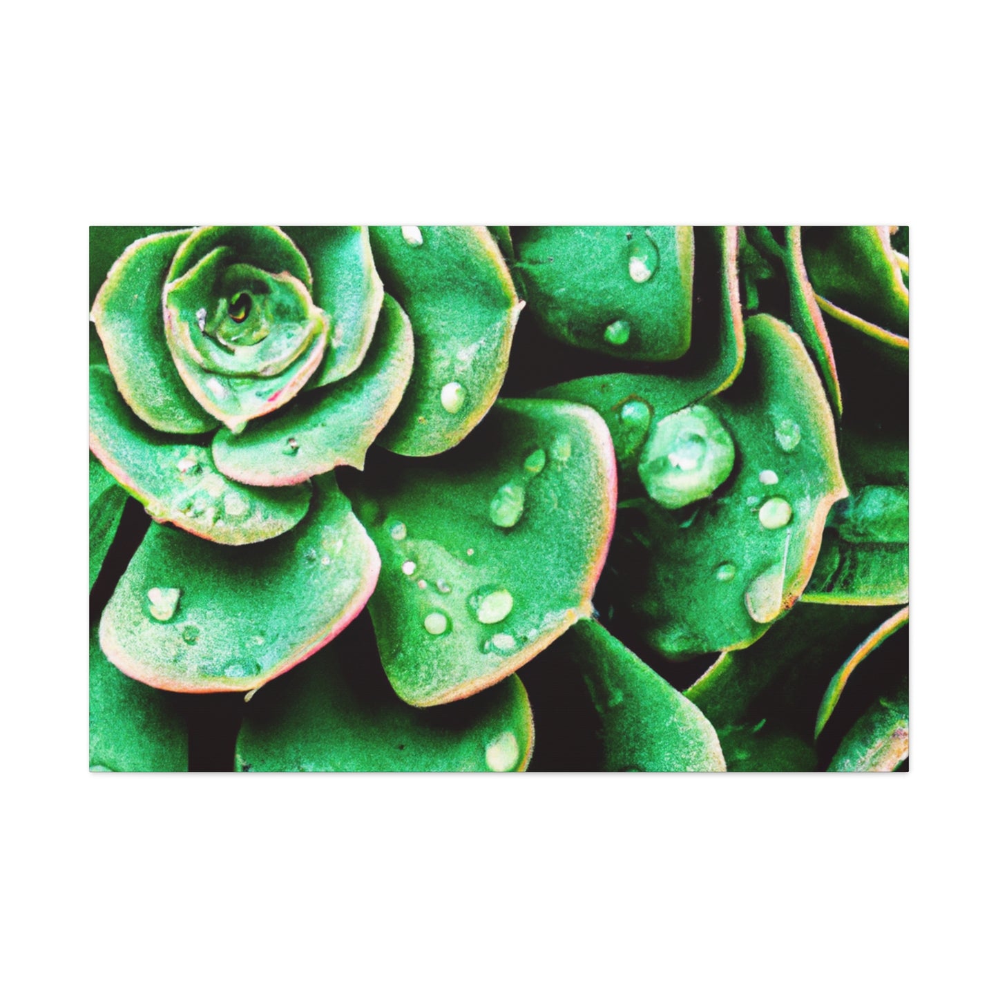 "Garden Splendor" - Canvas - Succulent