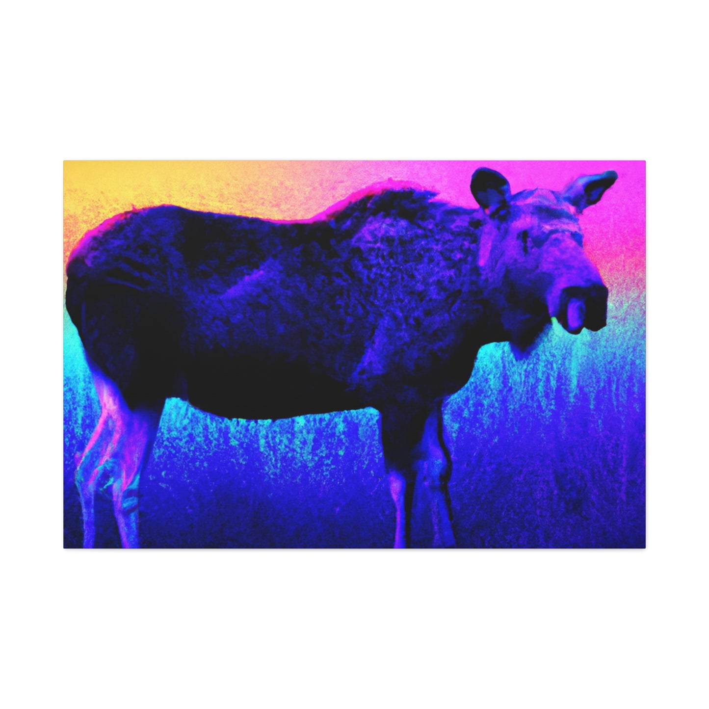 Furry Observer. - Canvas - Wildlife