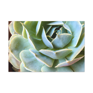 "Blooming Garden" - Canvas - Succulent