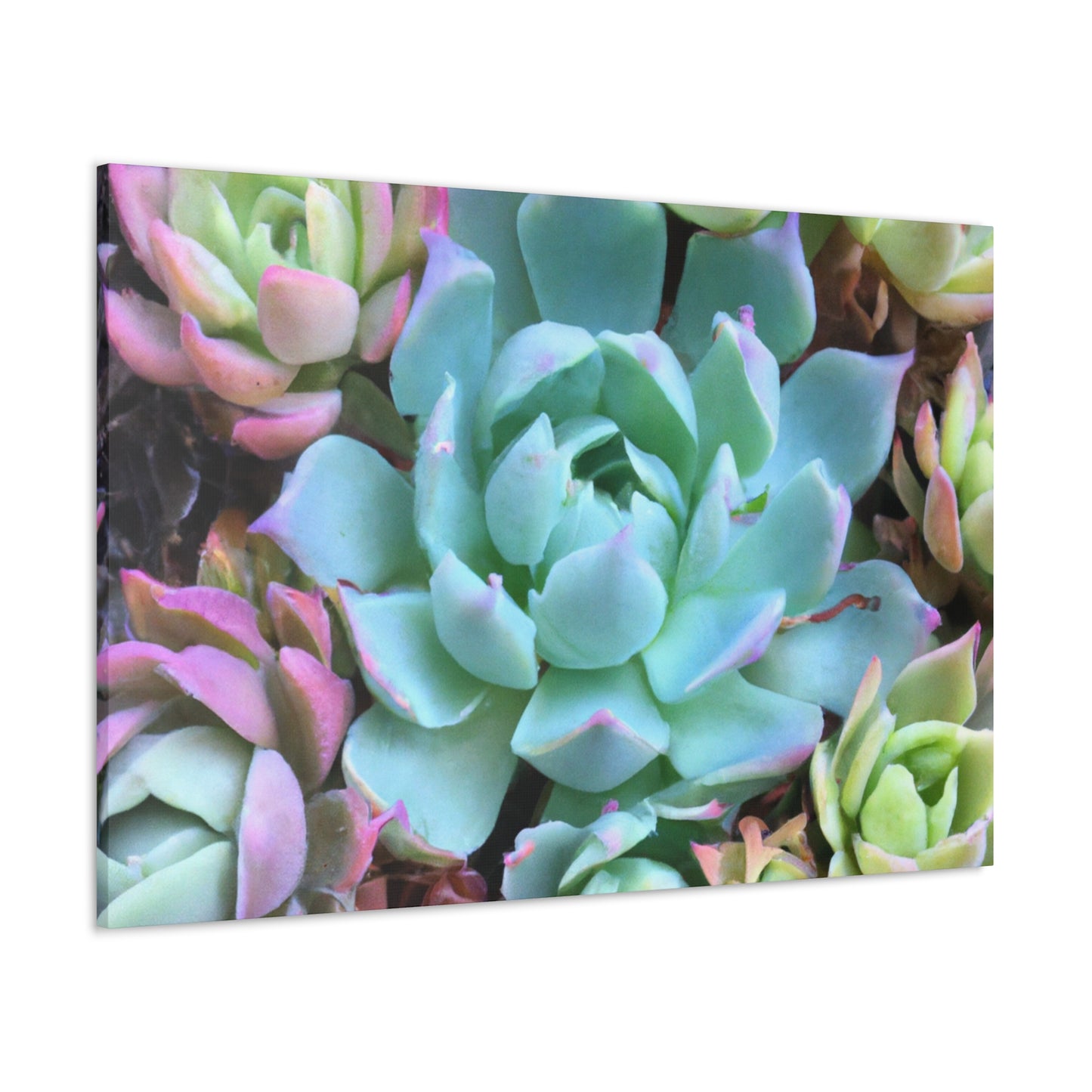 "Garden of Abundance" - Canvas - Succulent