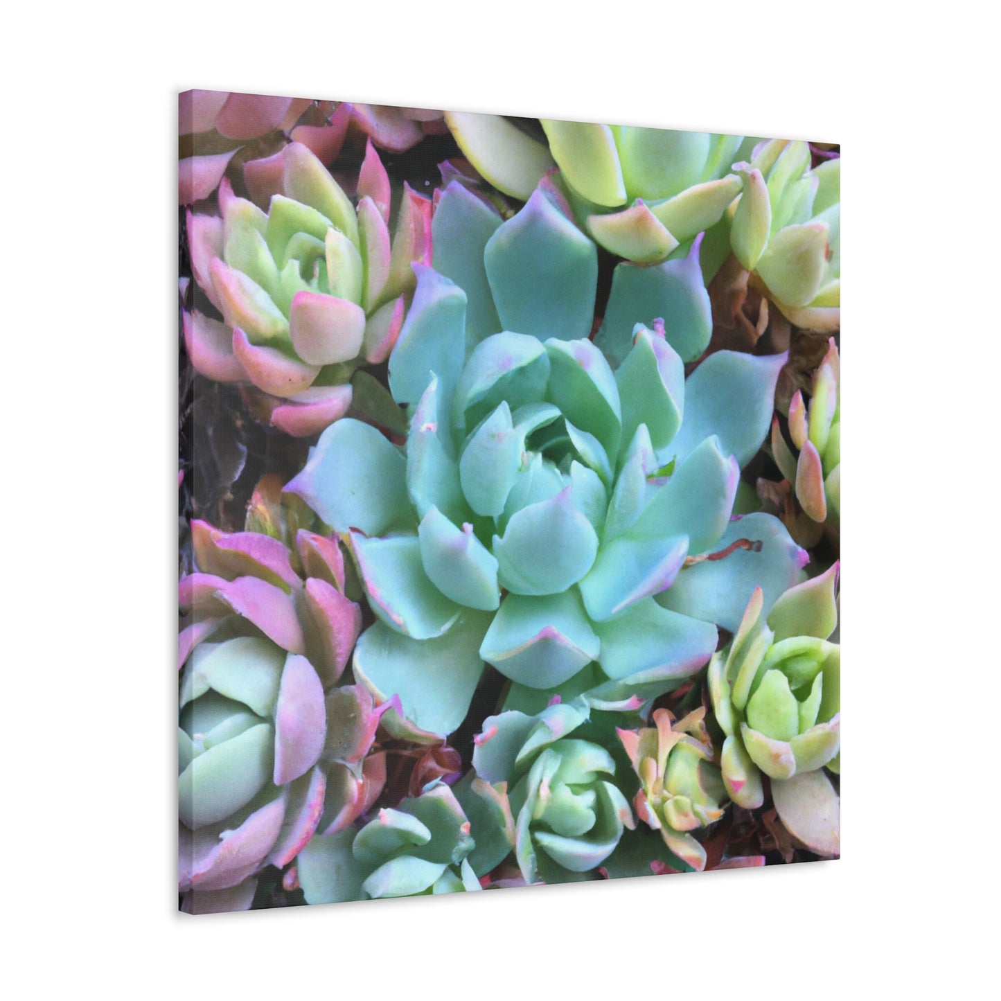 "Garden of Abundance" - Canvas - Succulent