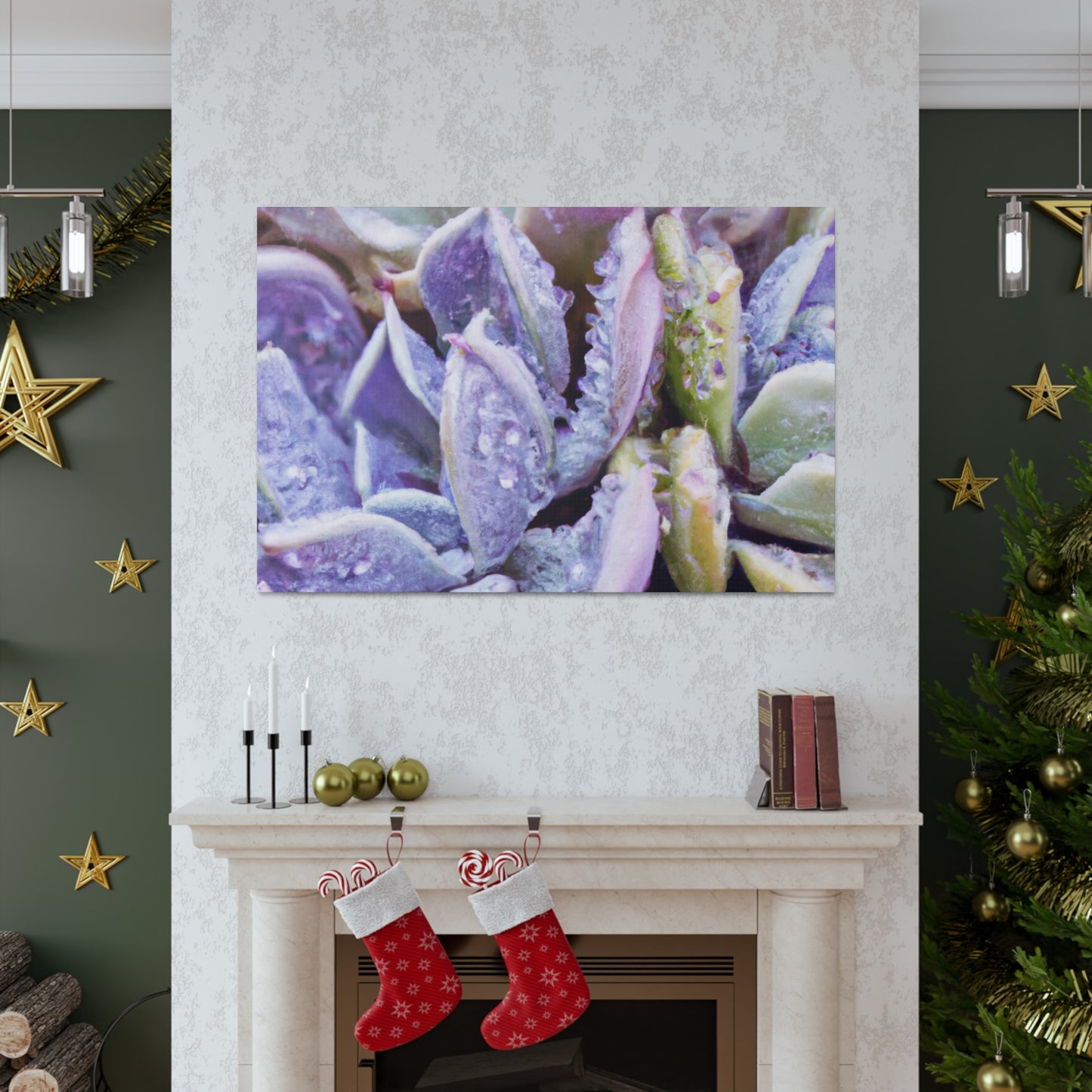 Violet Delights. - Canvas - Succulent