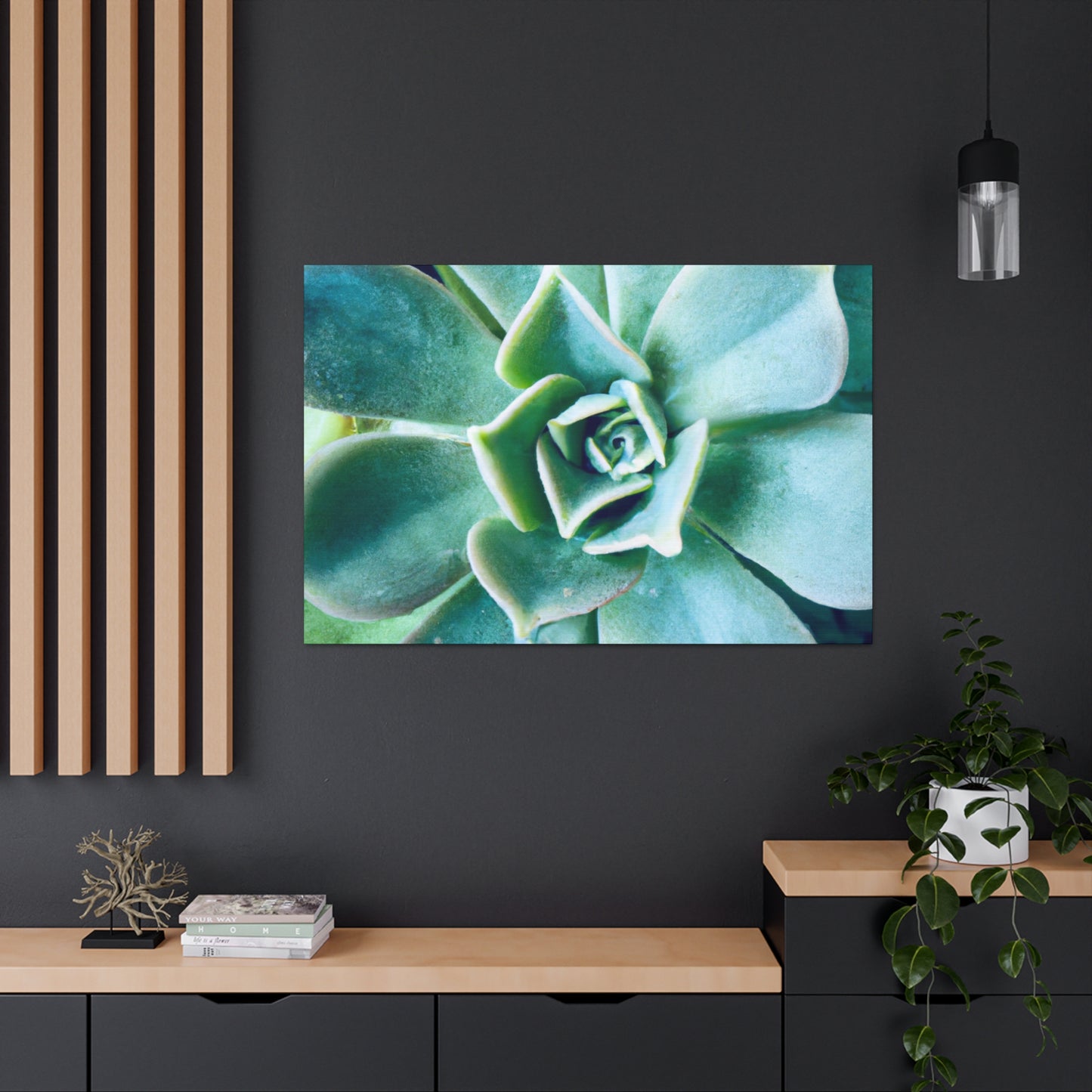 Irisaurus. - Canvas - Succulent