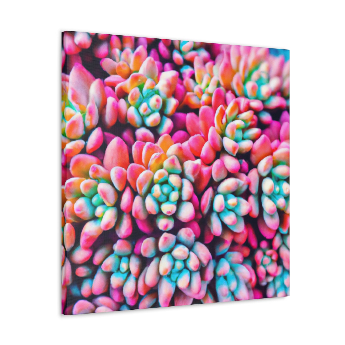 "Garden of Splendor" - Canvas - Succulent