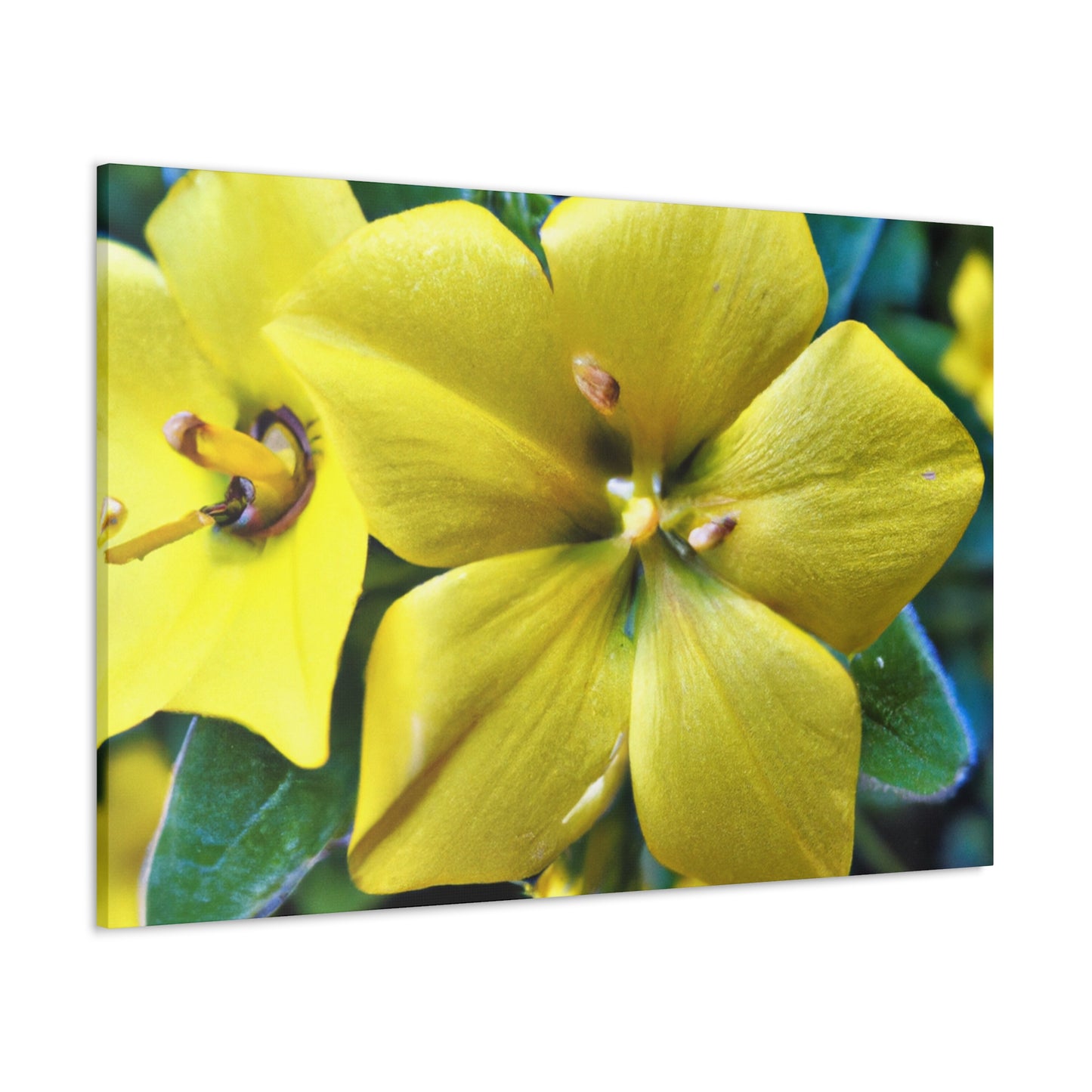 "Garden Wreath" - Canvas - Floral