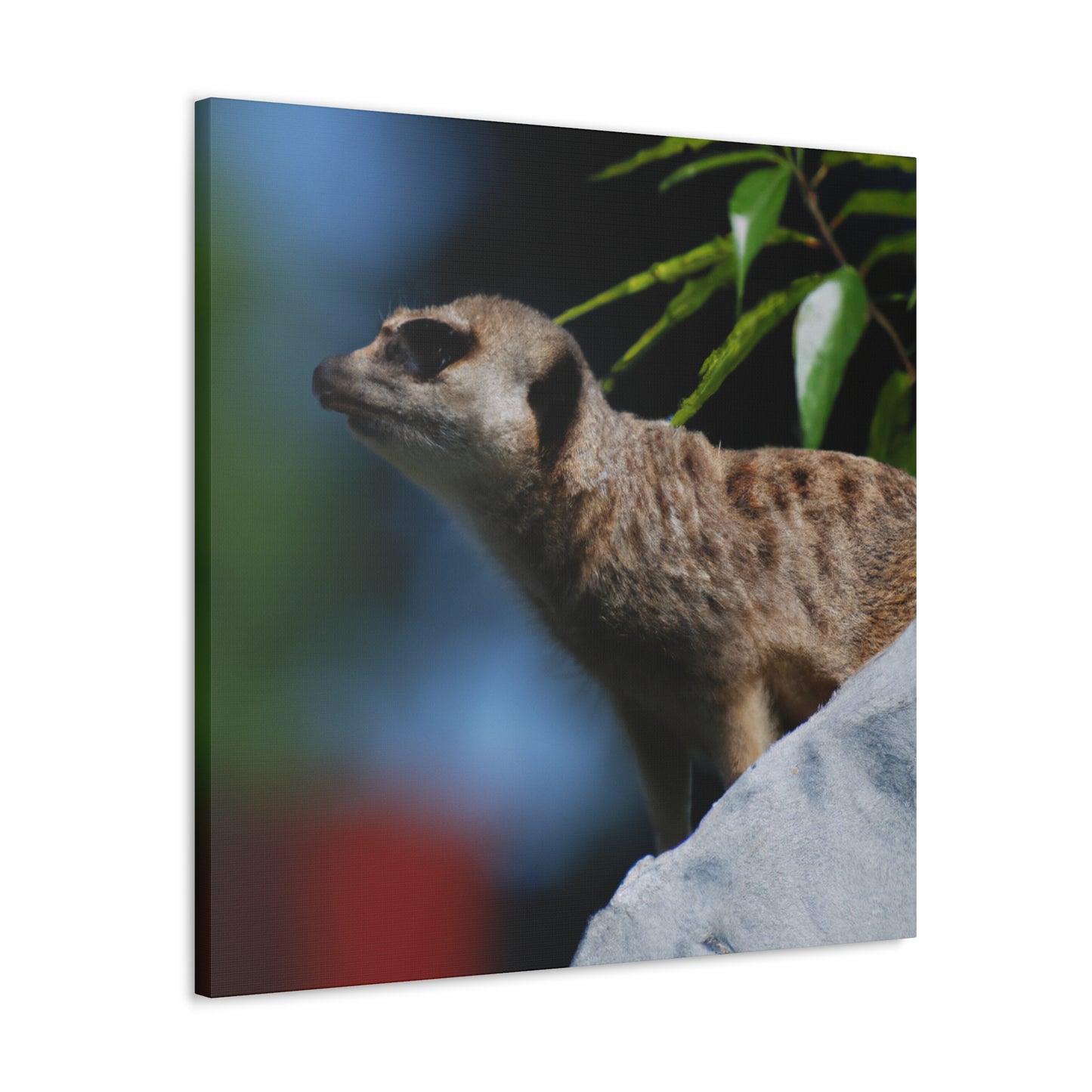 Peekaboo Crittter- Canvas - Wildlife