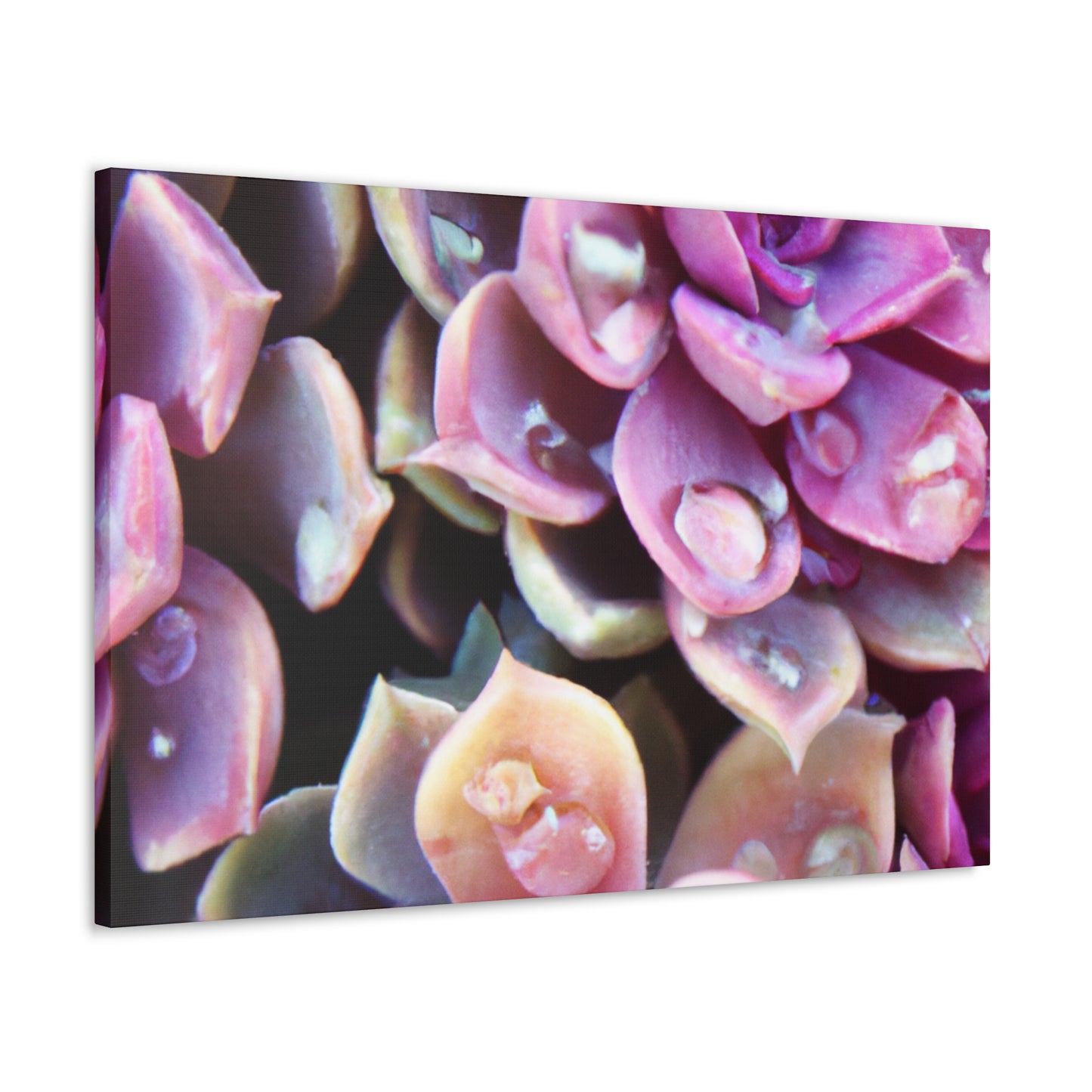 Garden of Splendor. - Canvas - Succulent