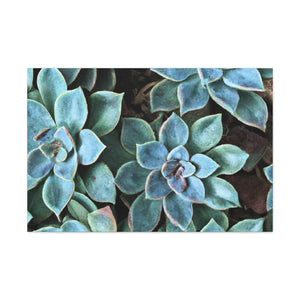 Green Paradise. - Canvas - Succulent