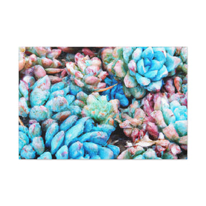 "Blooming Haven" - Canvas - Succulent