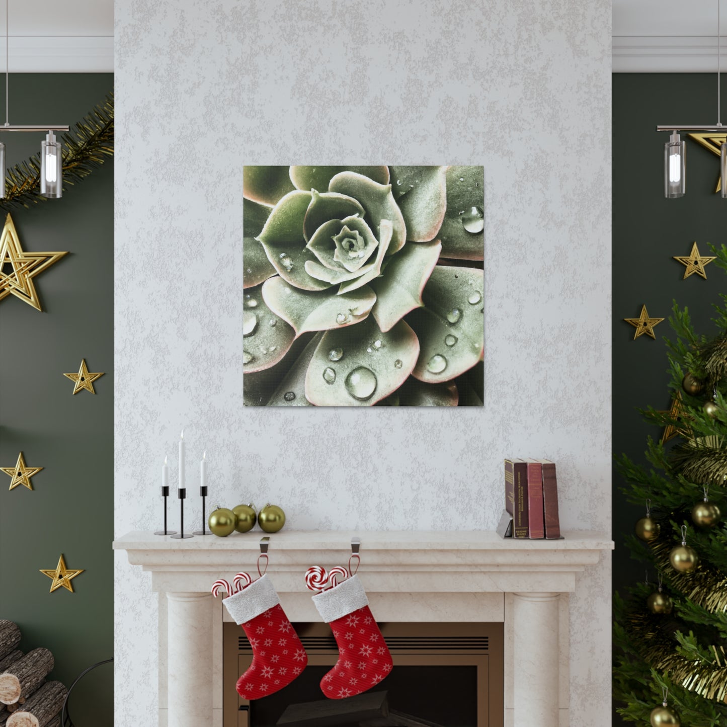 Neutral Close Up - Canvas - Succulent
