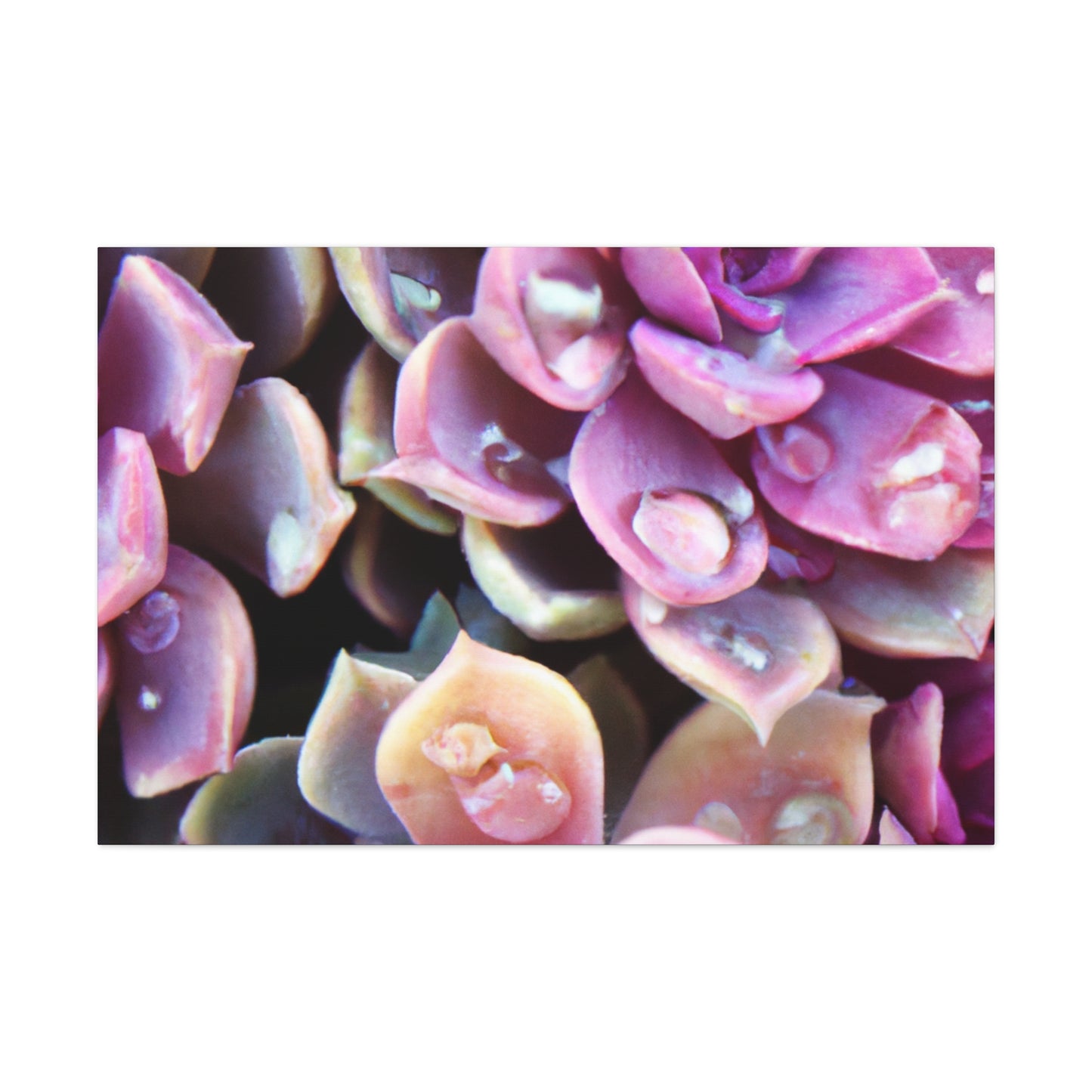 Garden of Splendor. - Canvas - Succulent