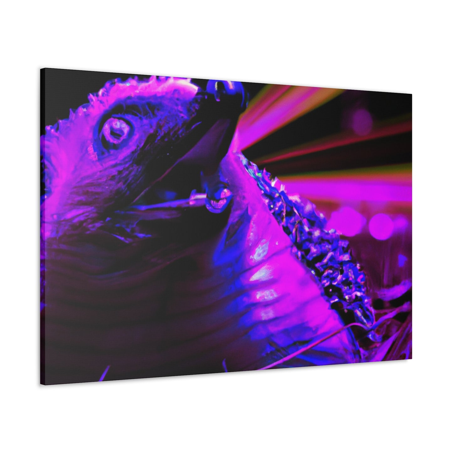 Feathery Fuzzball - Canvas - Wildlife
