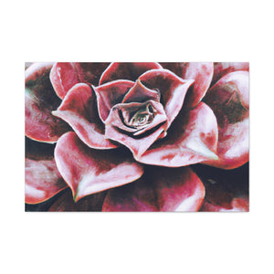 Odysseus. - Canvas - Succulent