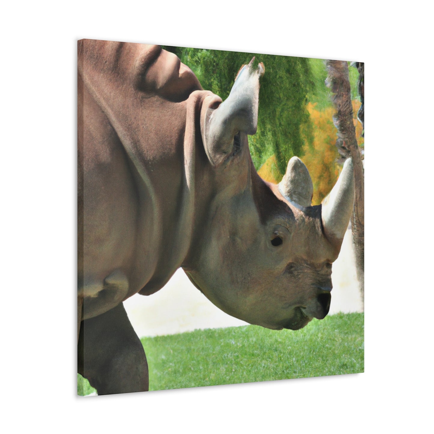 Rhino Head - Canvas - Wildlife