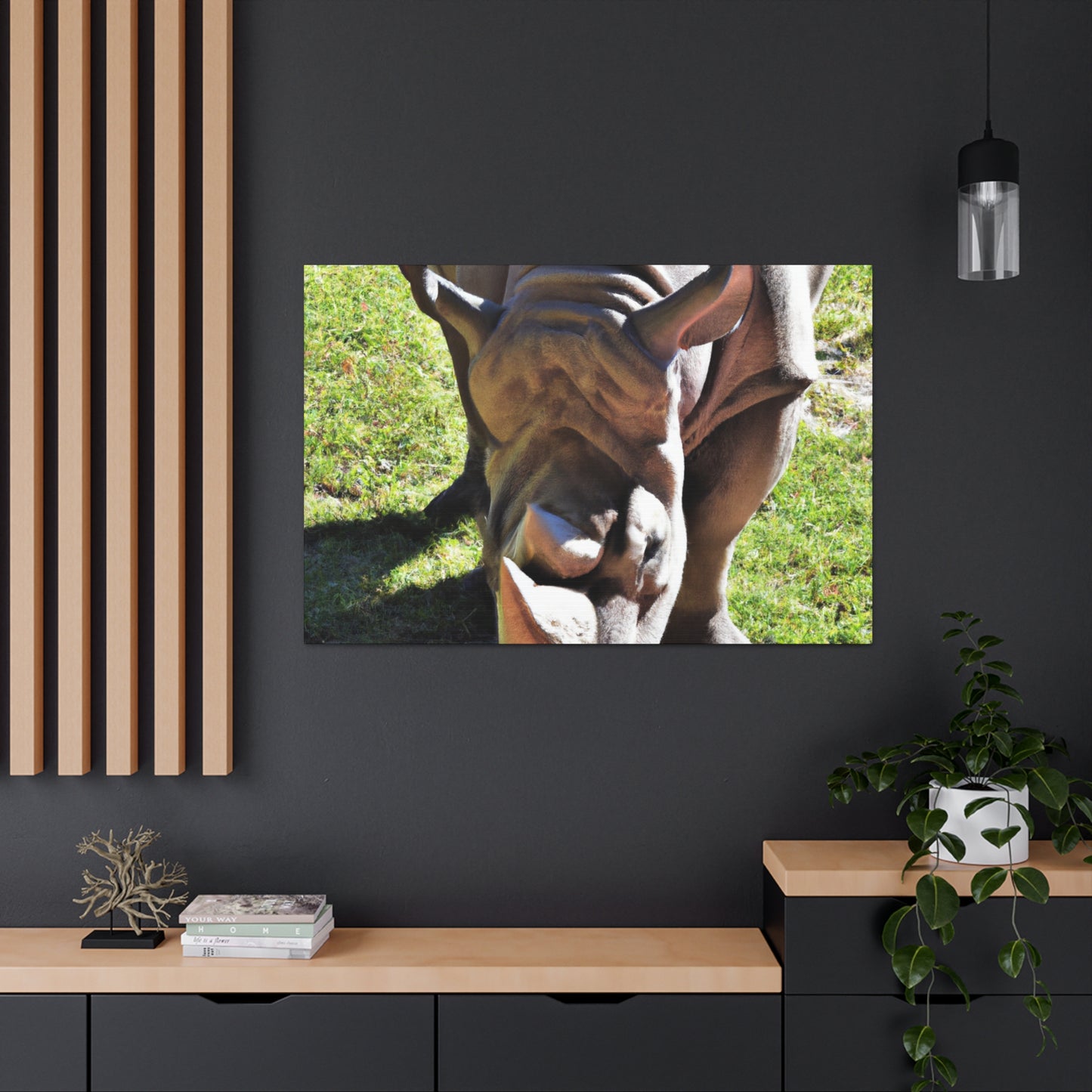 Climbing Zorton! - Canvas - Wildlife