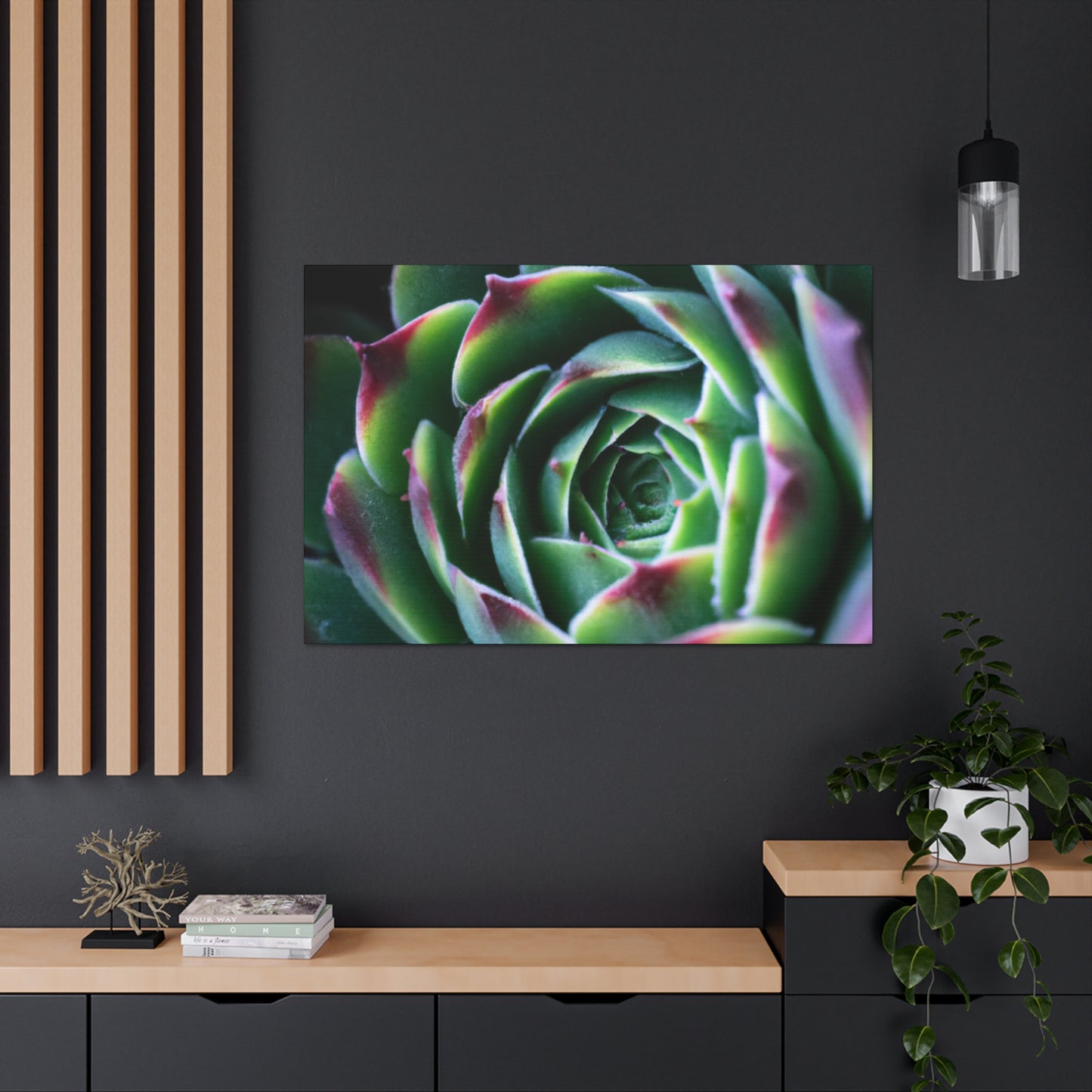 "Flowering Patio" - Canvas - Succulent