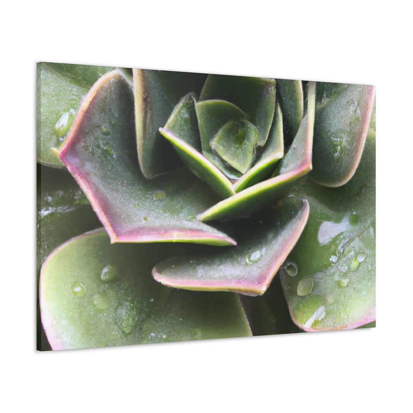 "Garden of Plenty." - Canvas - Succulent