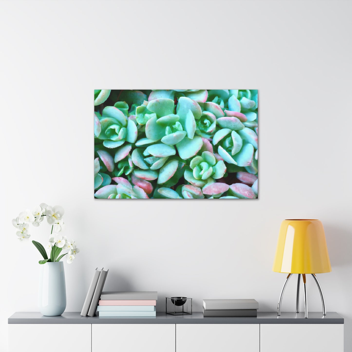 Green Beauties - Canvas - Succulent