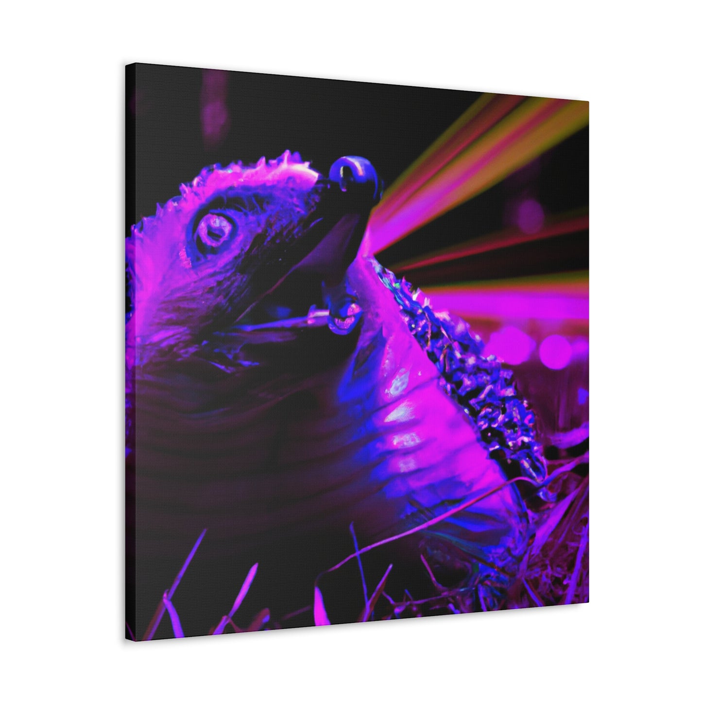 Feathery Fuzzball - Canvas - Wildlife