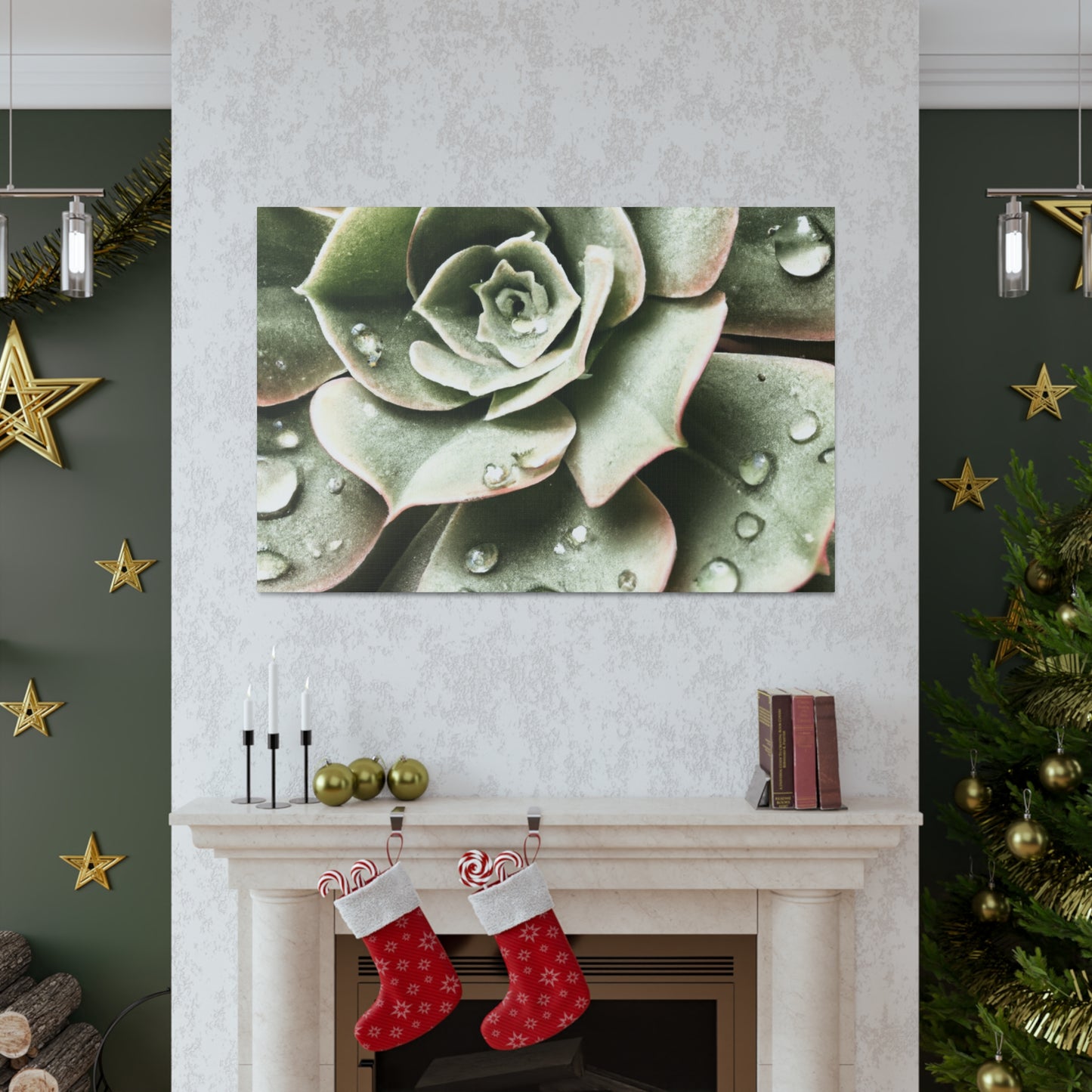 Neutral Close Up - Canvas - Succulent